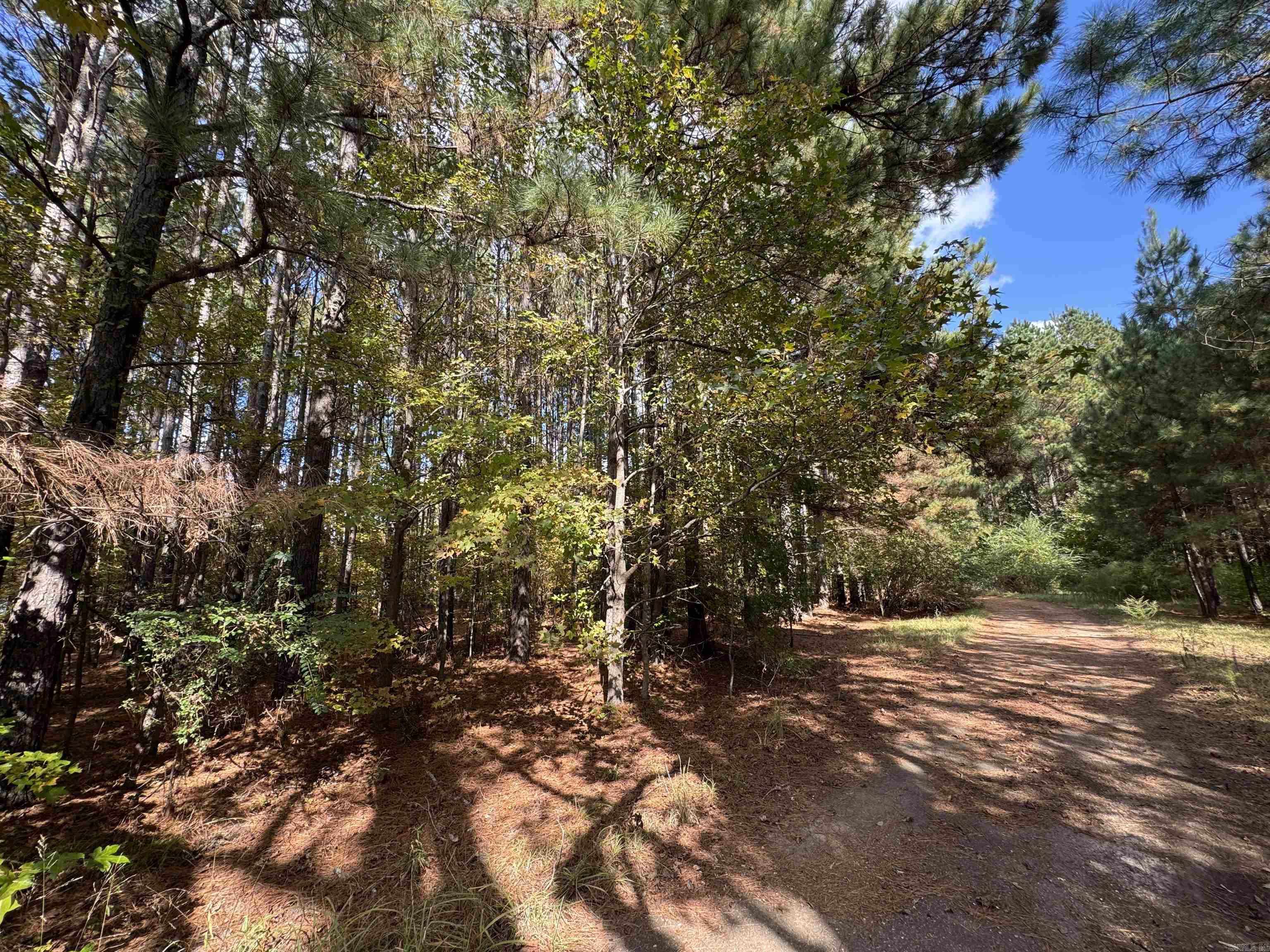 1355 California Ave  Camden, AR