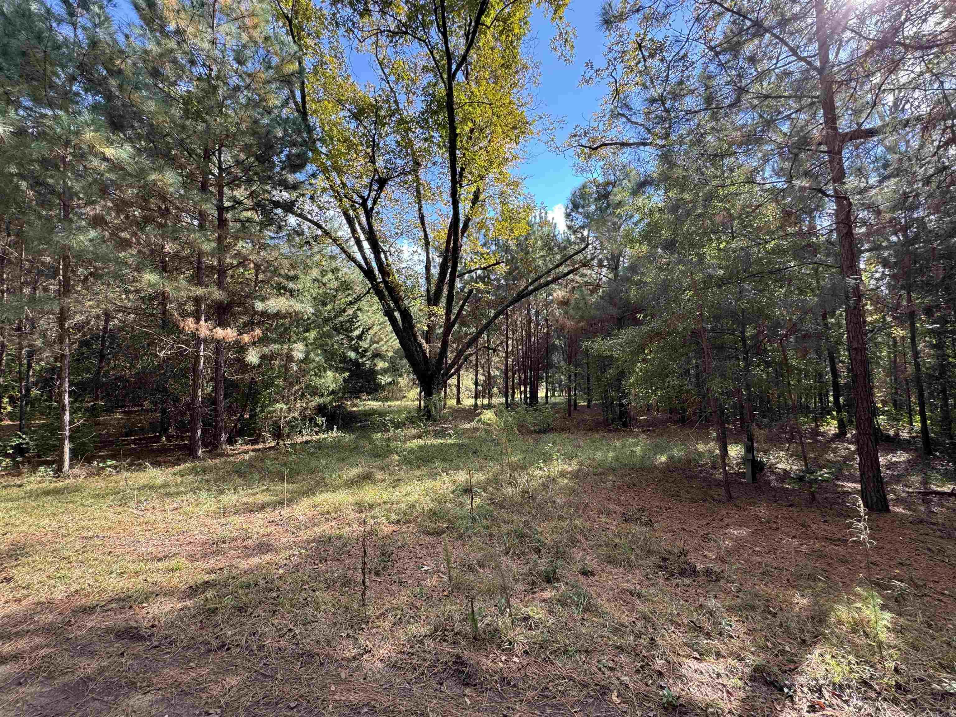 1355 California Ave  Camden, AR