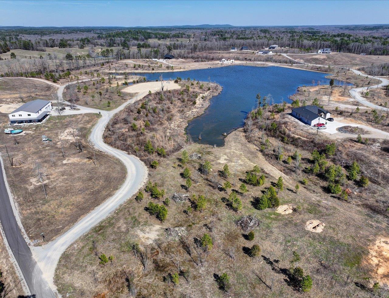 000 Snorting Buffalo  Hot Springs, AR