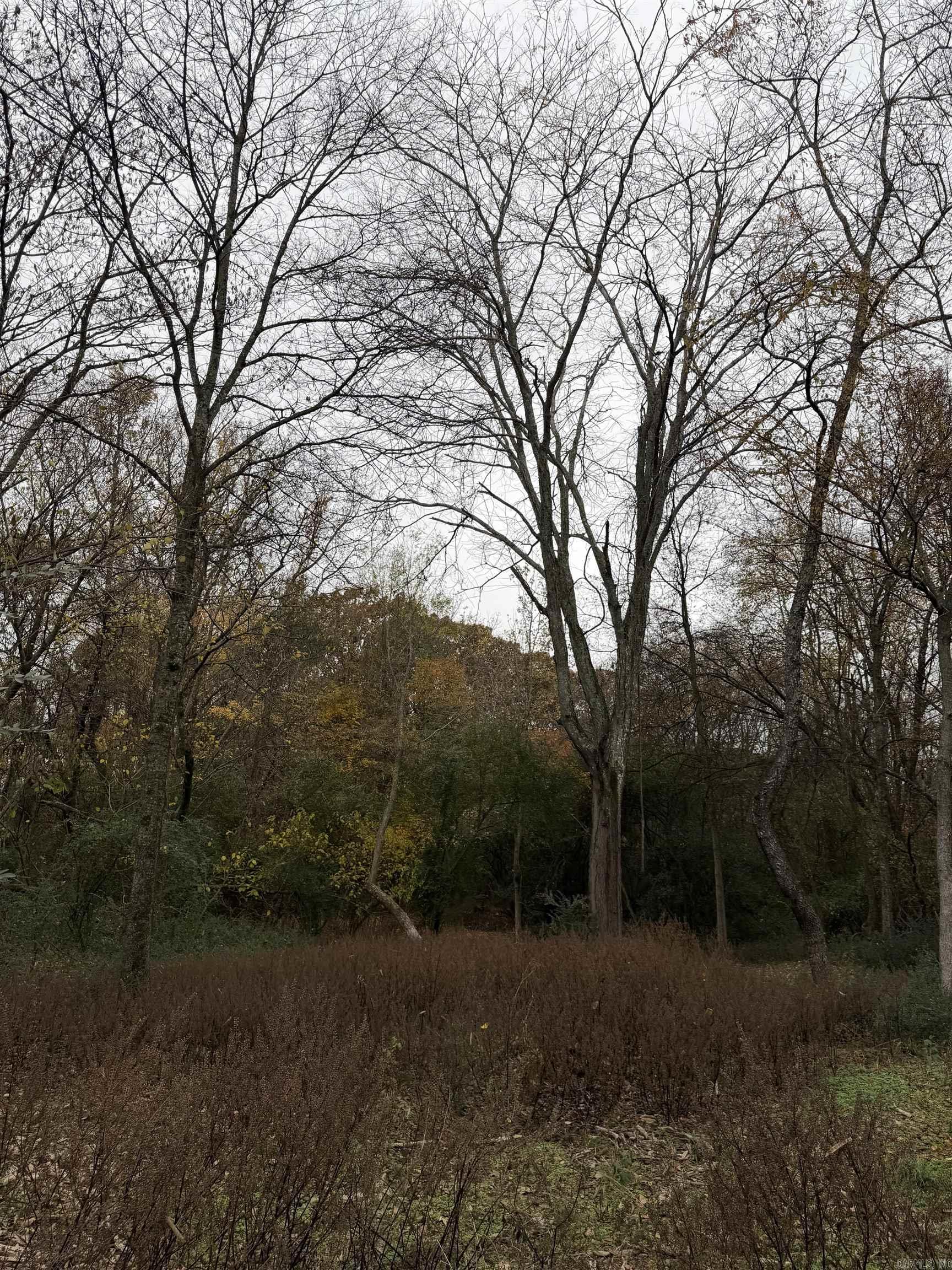 10 Acres Woodland Park Road  Bryant, AR