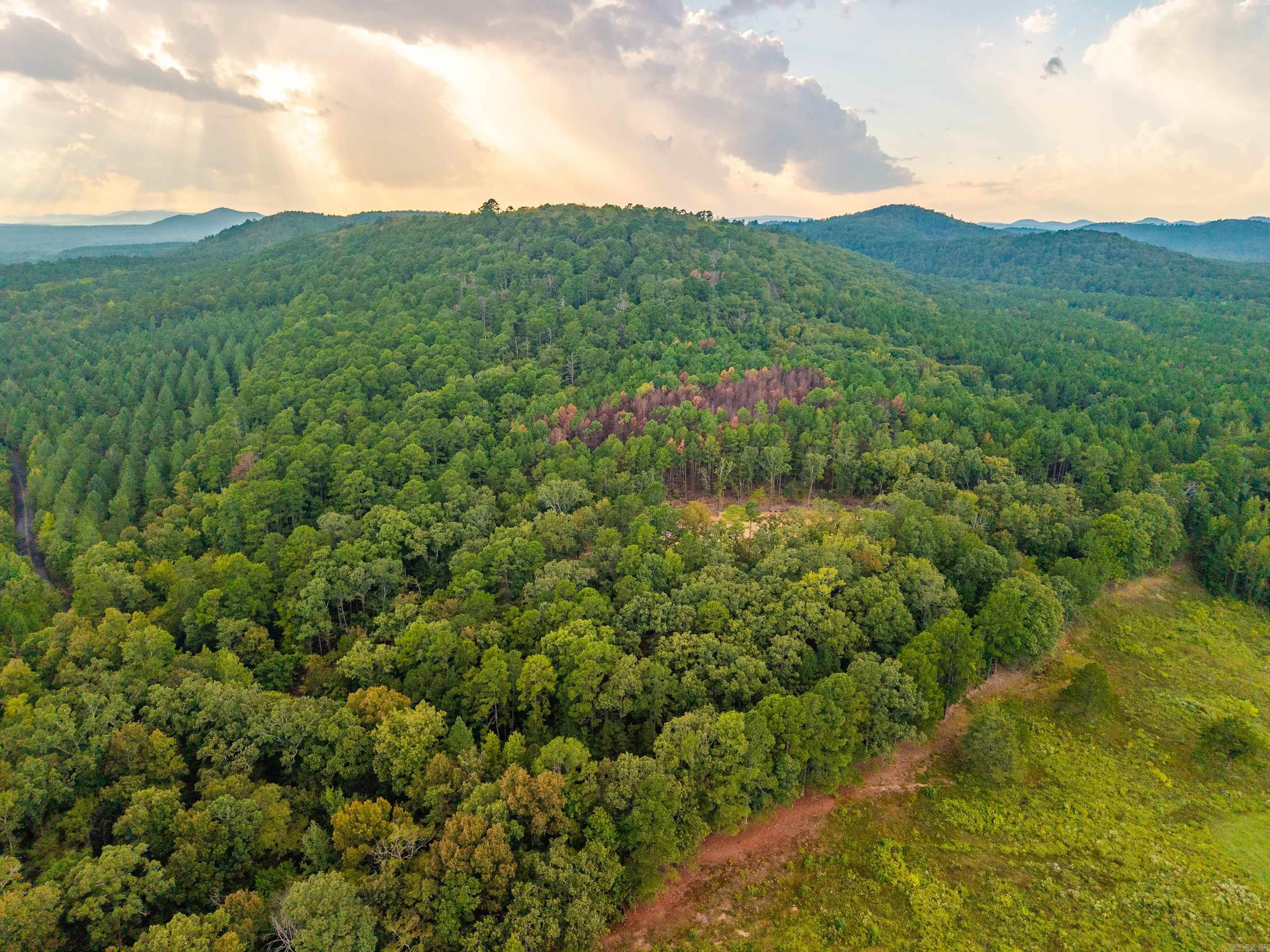 2522 S Crystal Springs  Hot Springs, AR