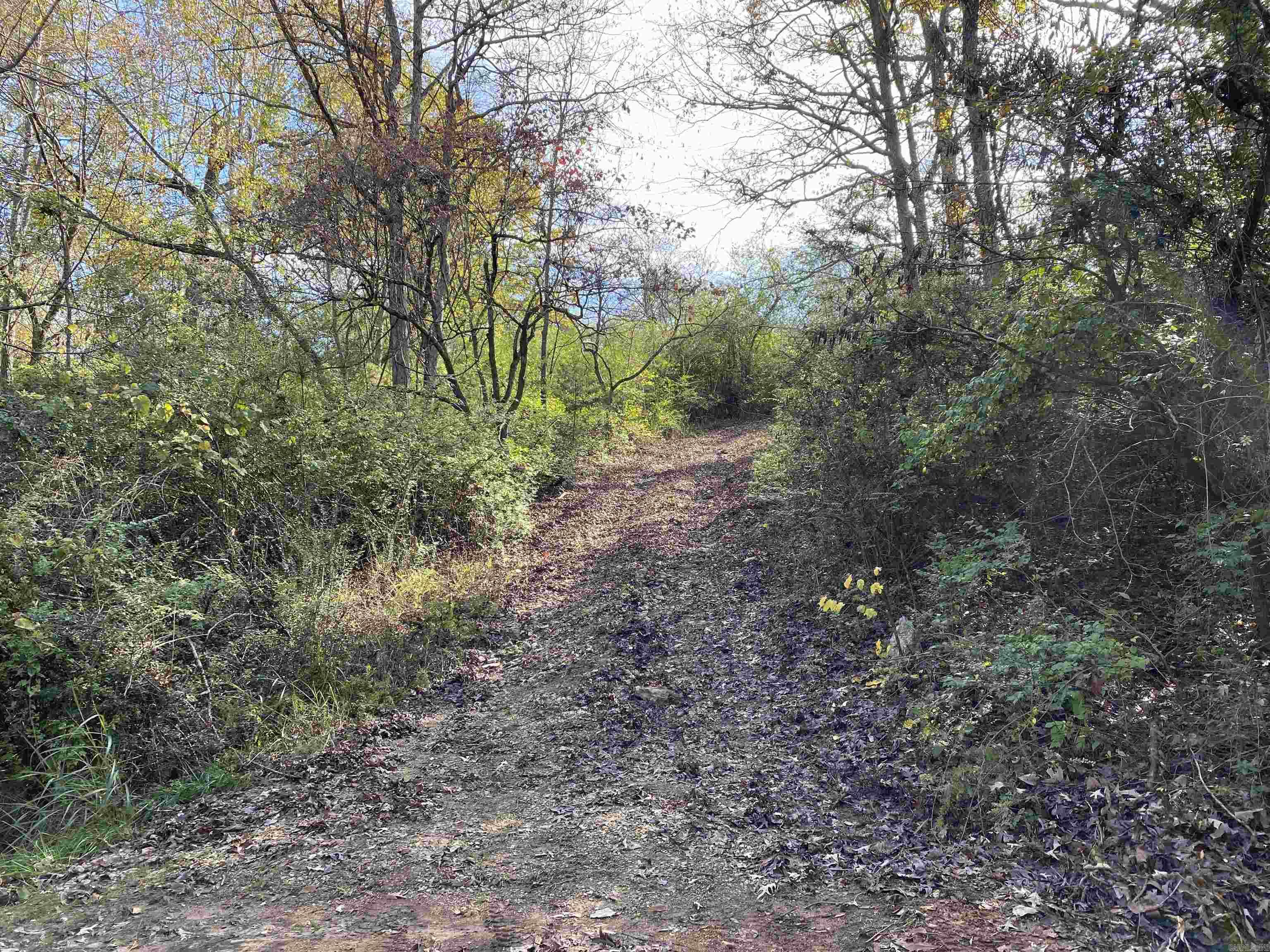 760-19585-000 Sandot  Bull Shoals, AR