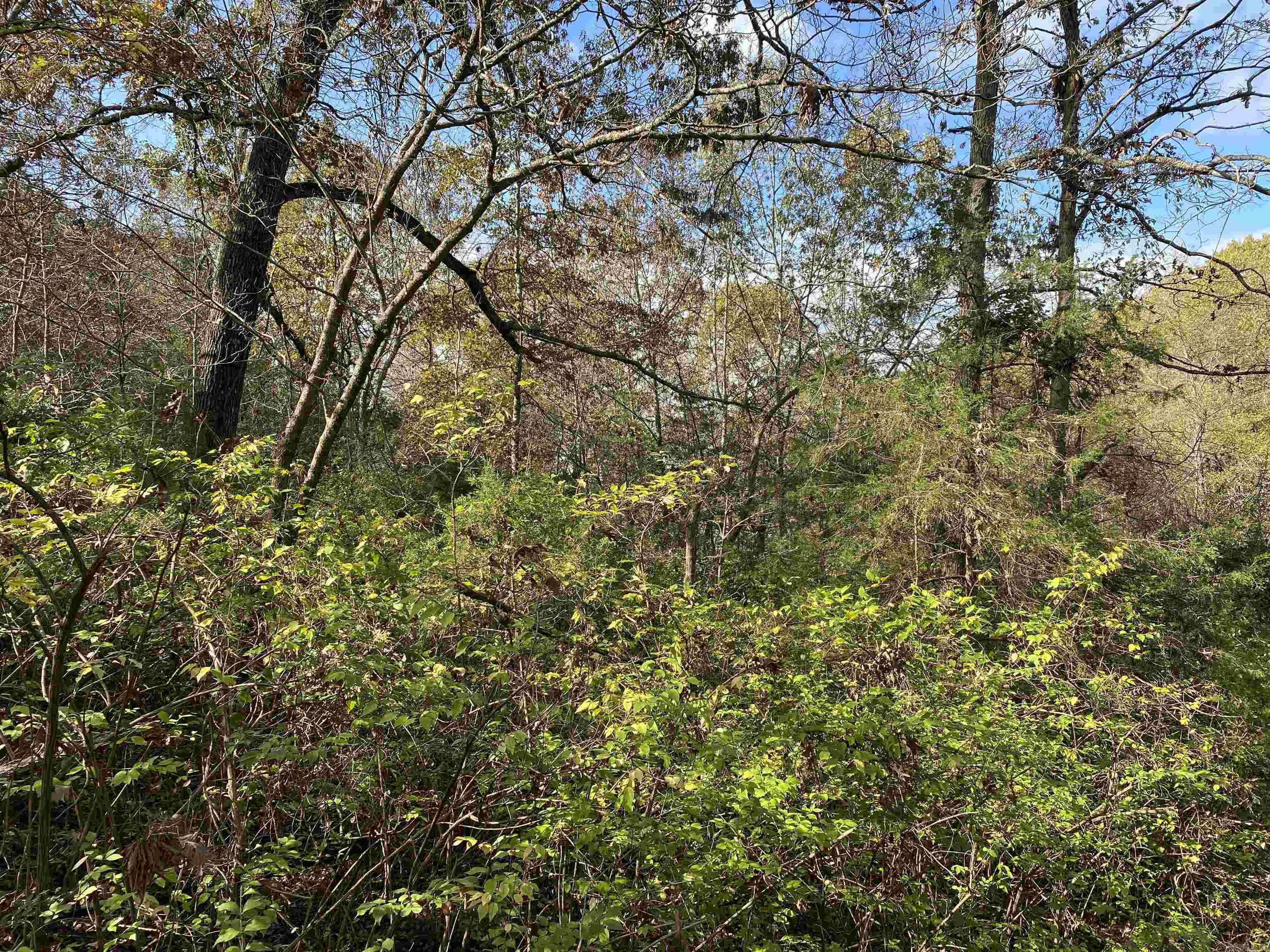 760-19585-000 Sandot  Bull Shoals, AR