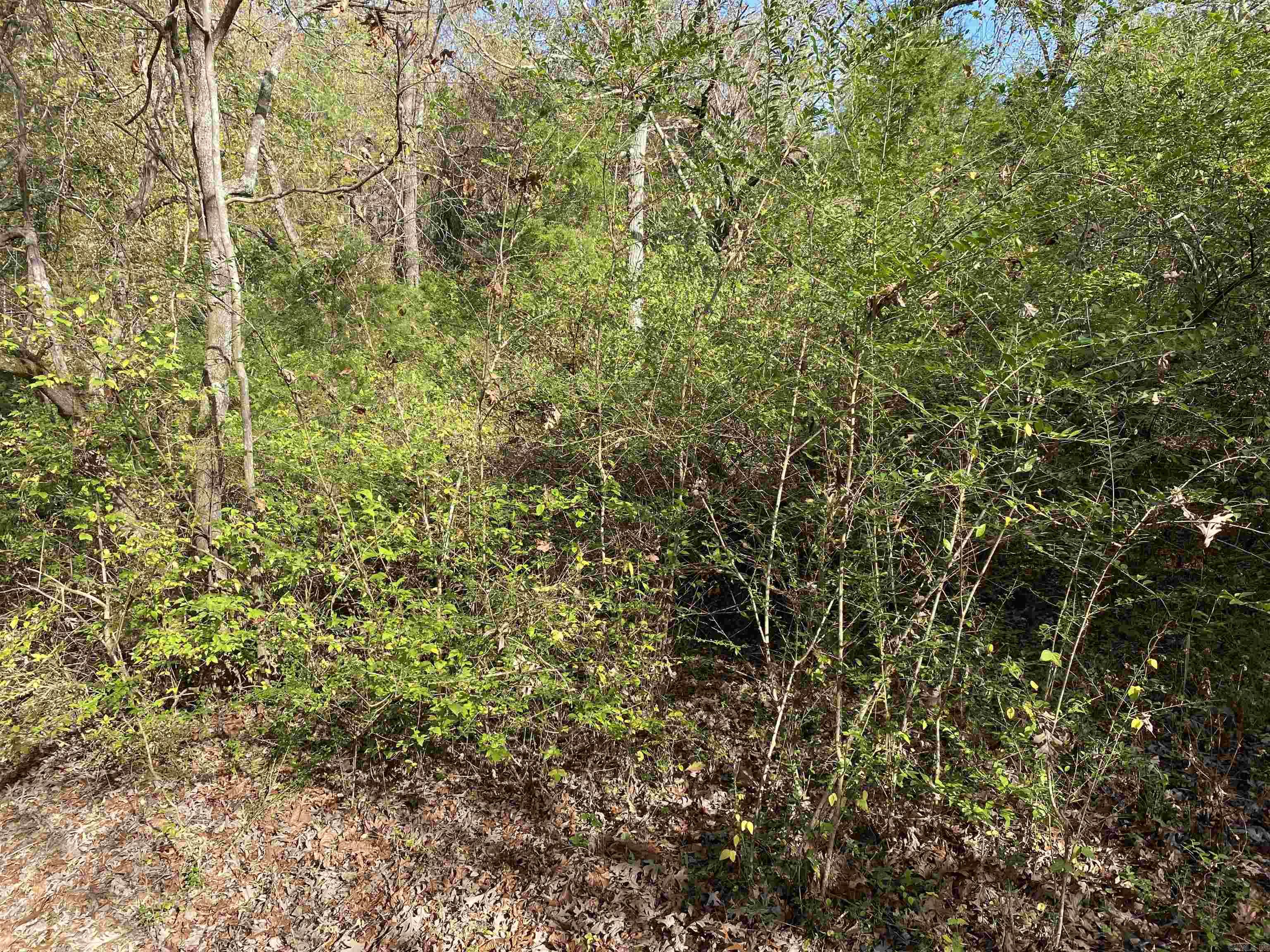 760-19585-000 Sandot  Bull Shoals, AR