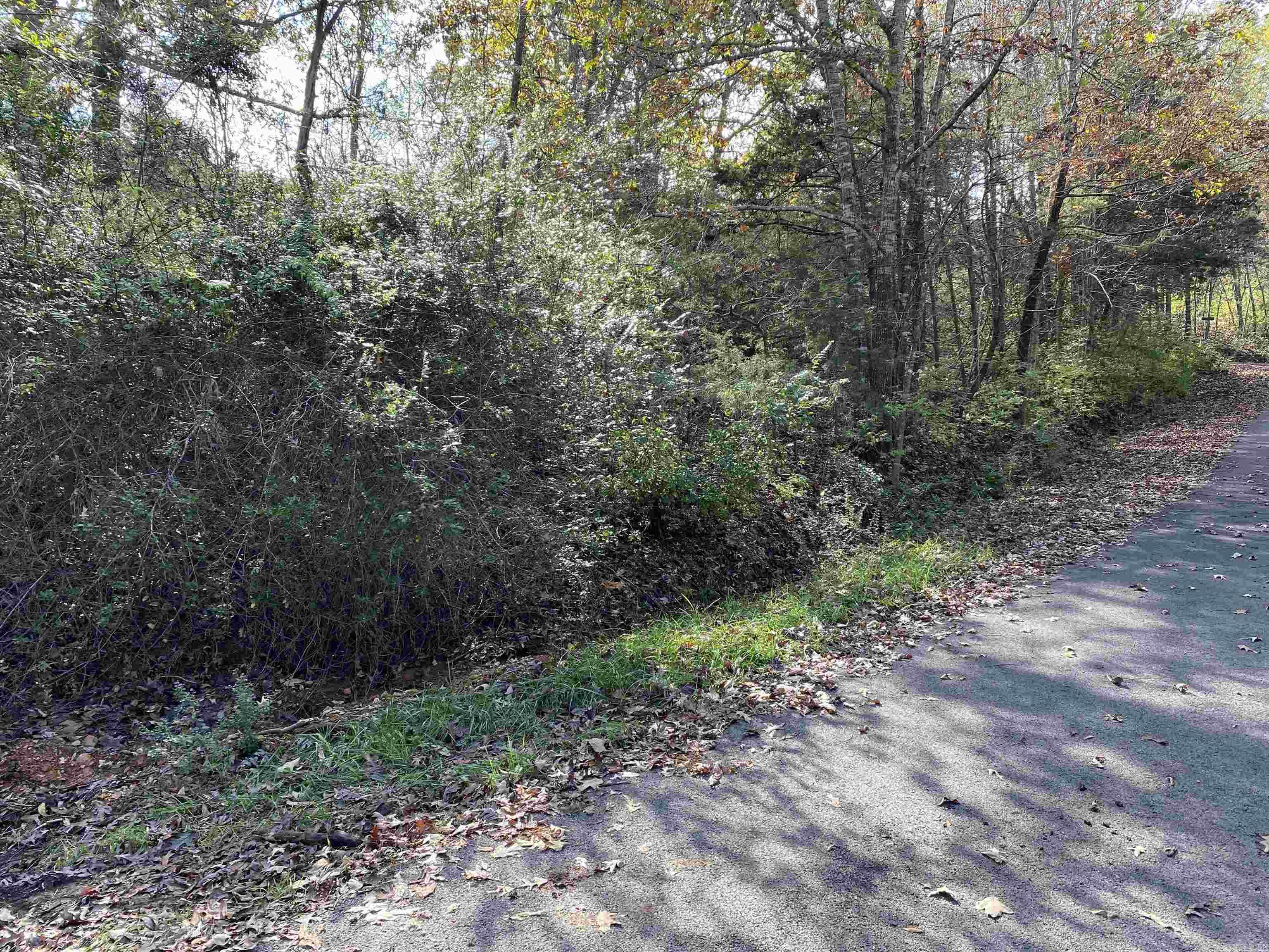 760-19585-000 Sandot  Bull Shoals, AR