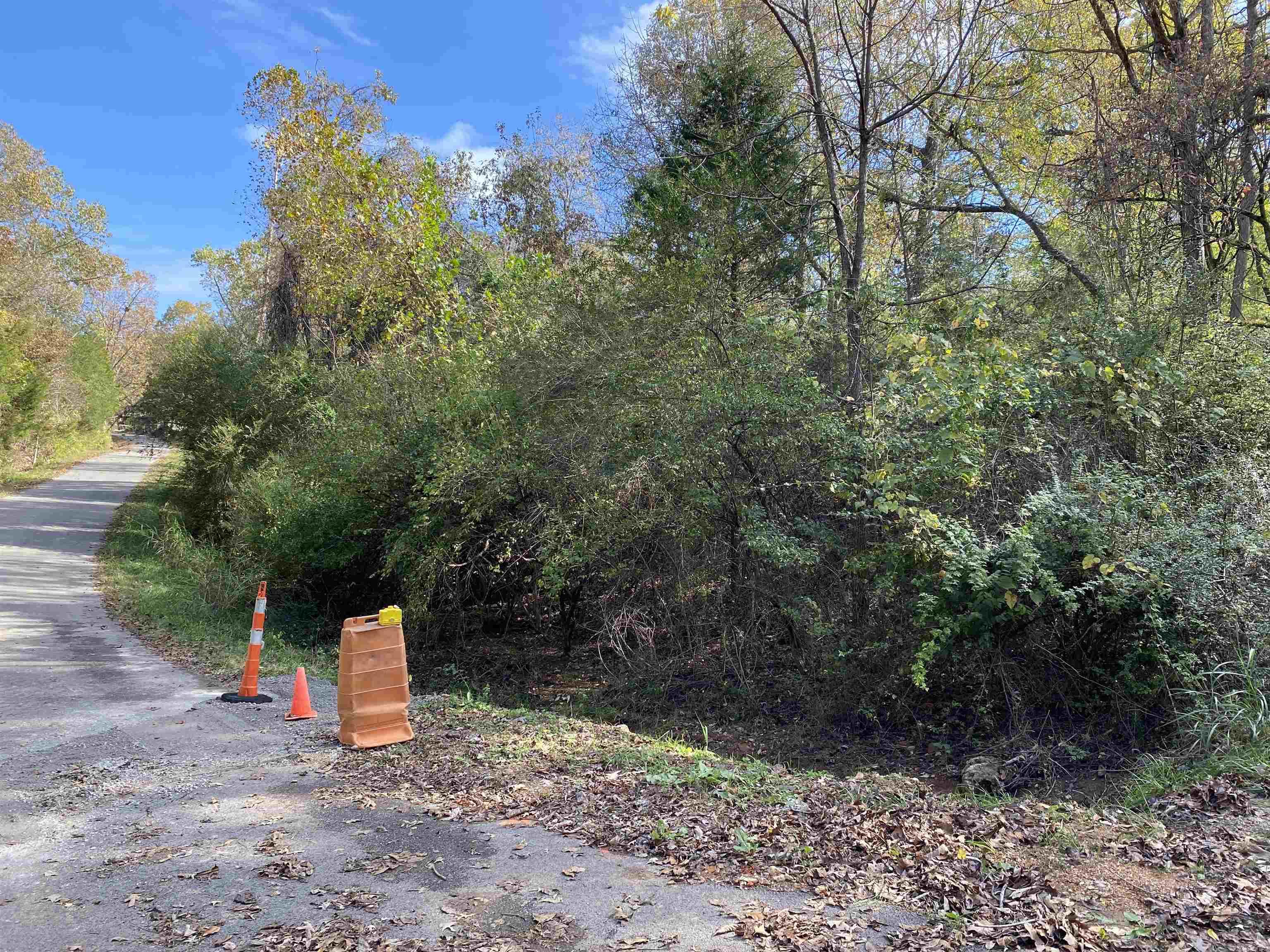 760-19585-000 Sandot  Bull Shoals, AR