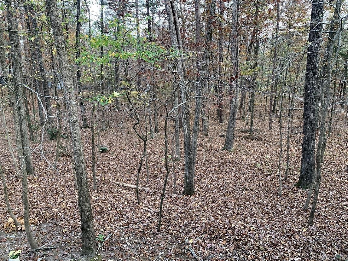 23 Valls  Hot Springs Village, AR