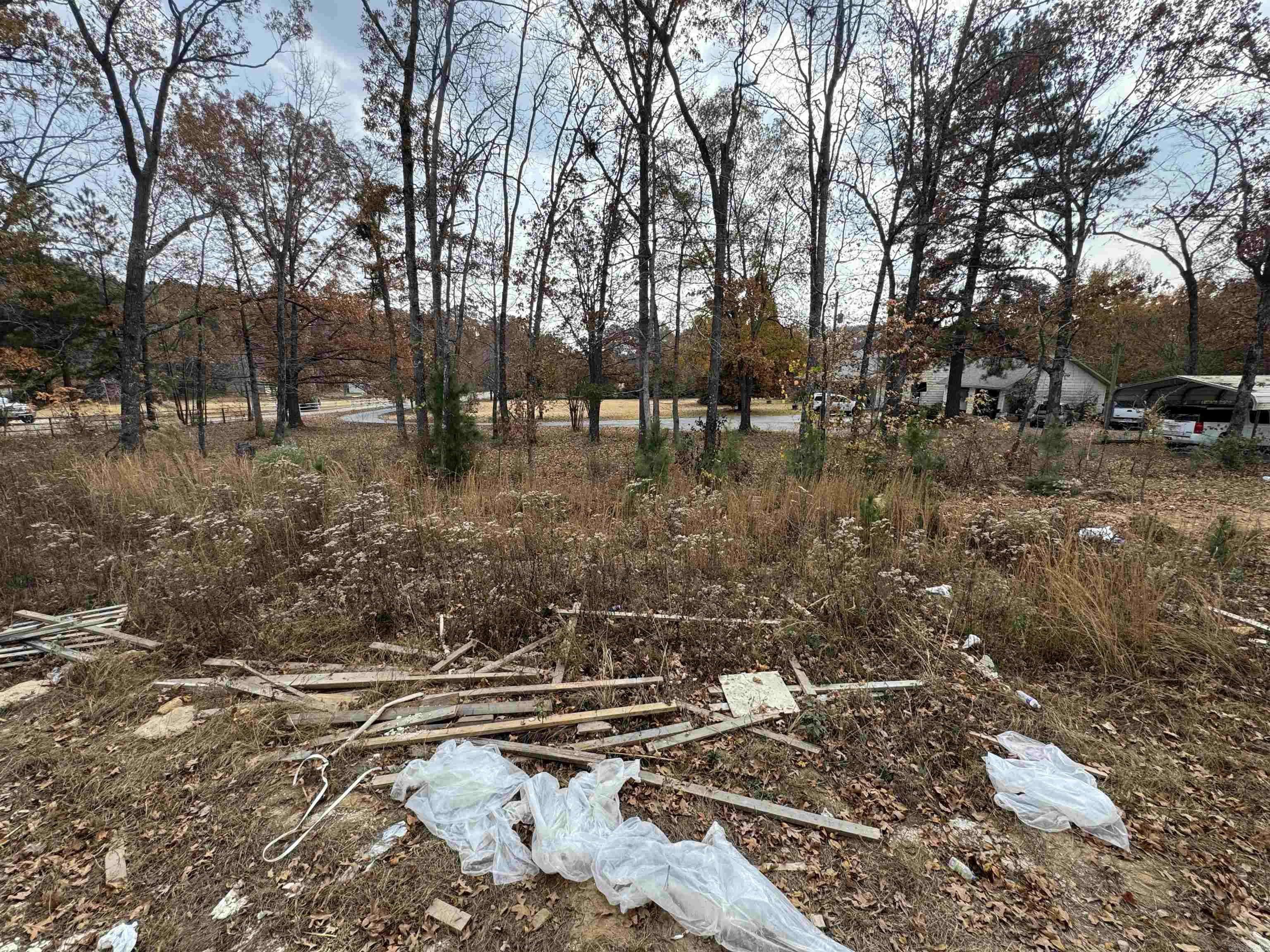 218 Michelle  Beebe, AR