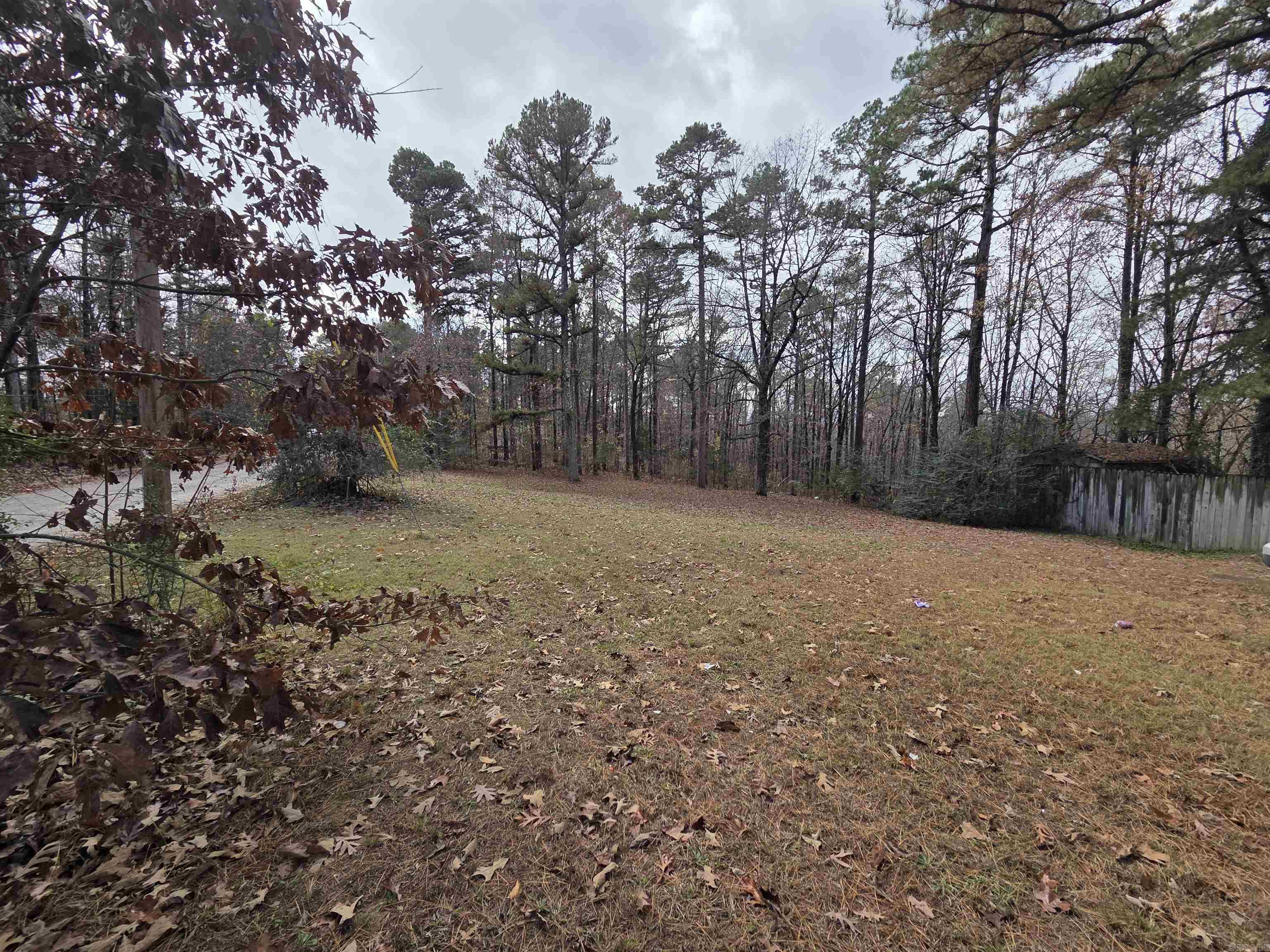 781 Sawmill  Mountain View, AR