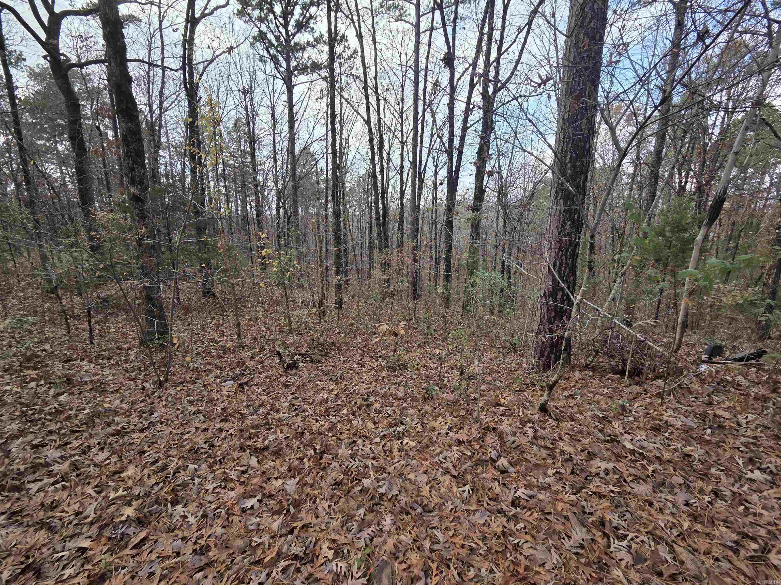 781 Sawmill  Mountain View, AR