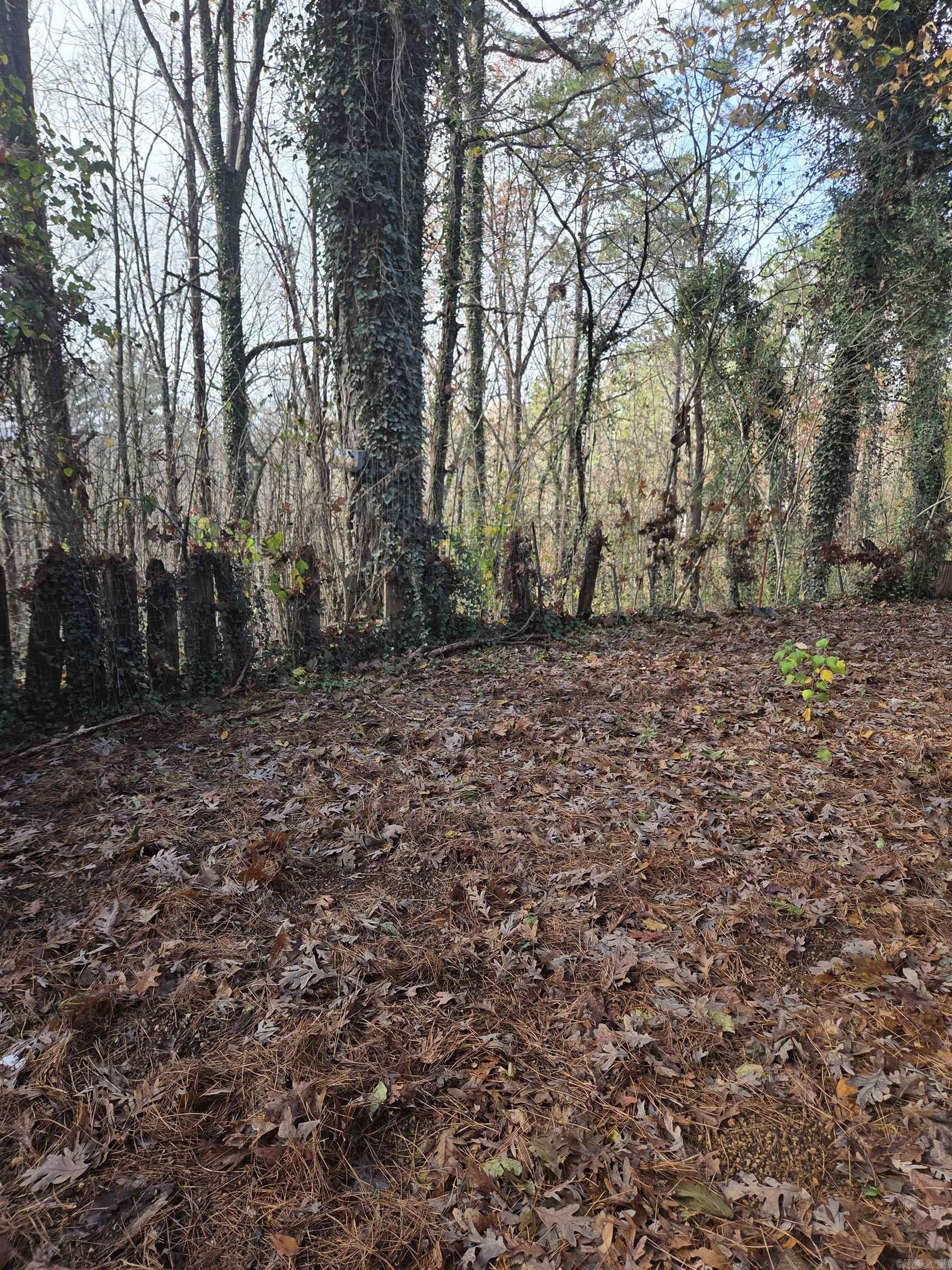 781 Sawmill  Mountain View, AR