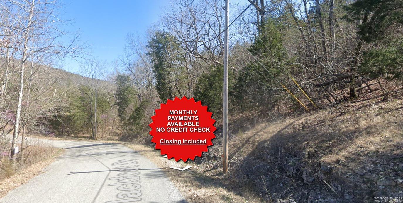 Lot 4 Blackfoot  Holiday Island, AR