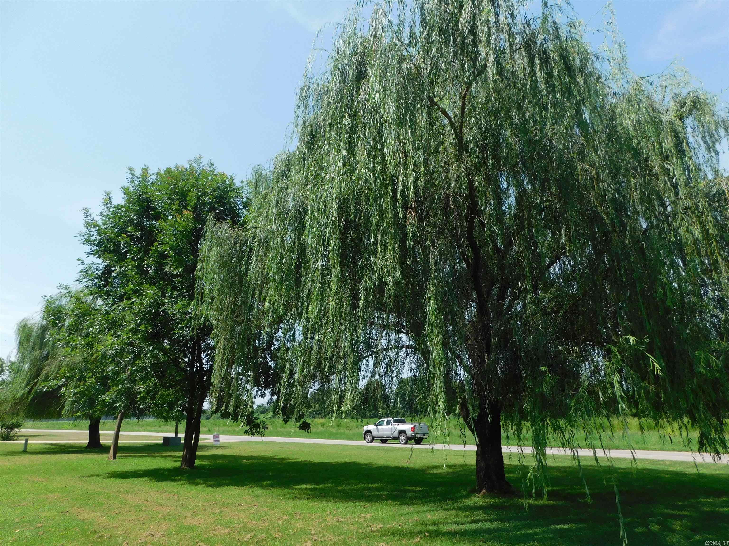 3209 Riviera  White Hall, AR