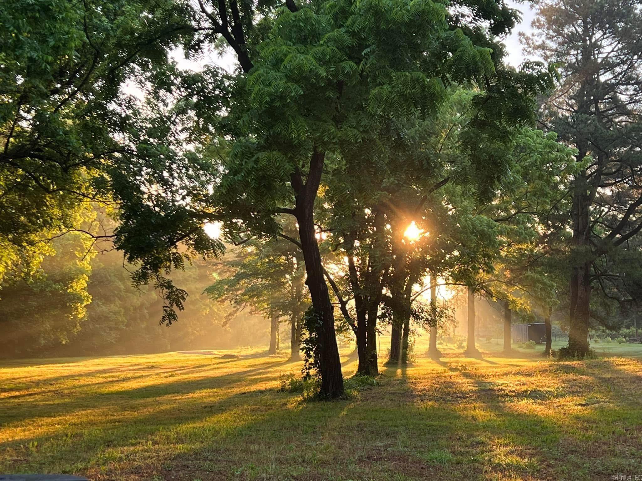 1 Rayell  North Little Rock, AR