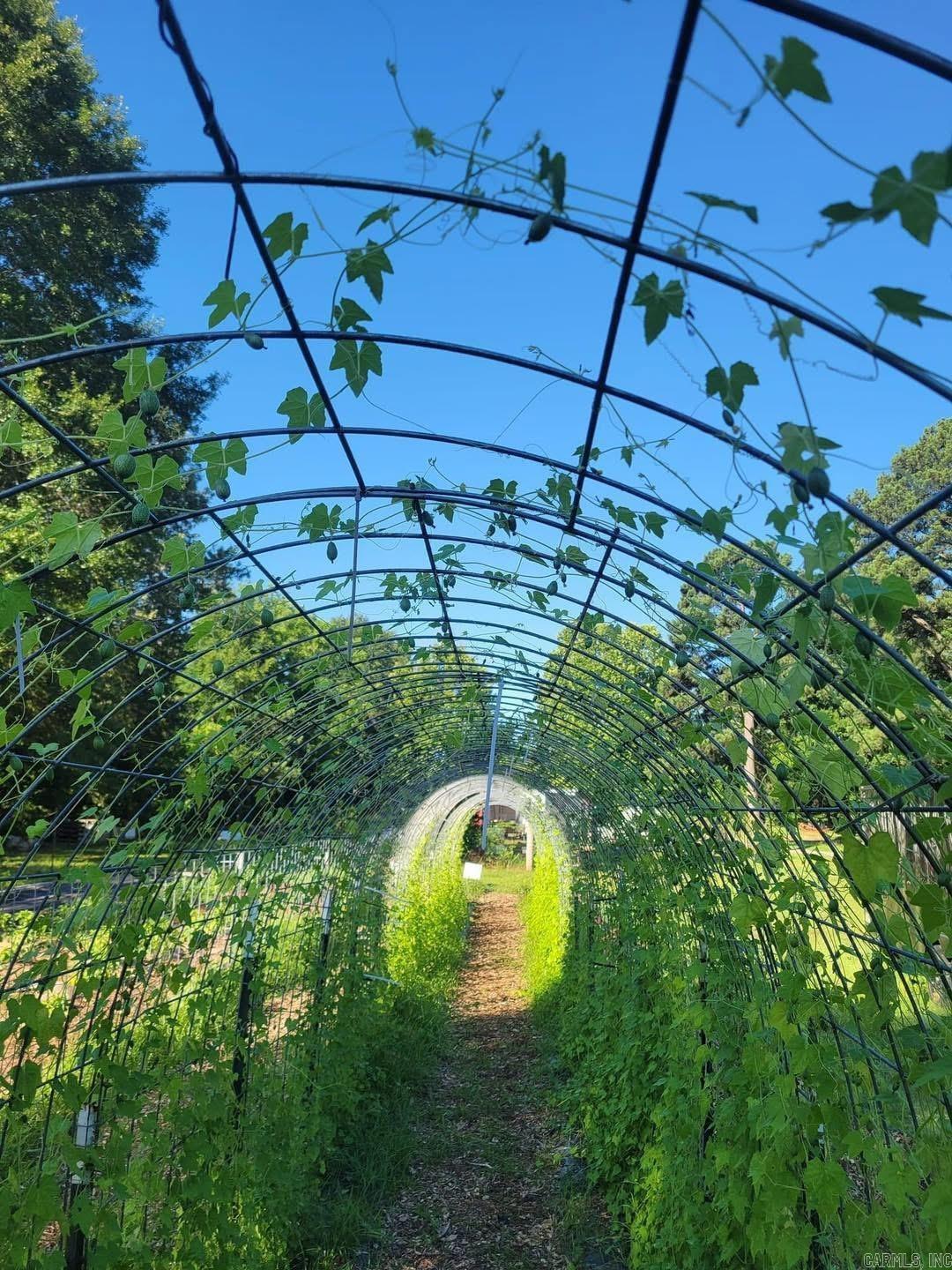 1 Rayell  North Little Rock, AR