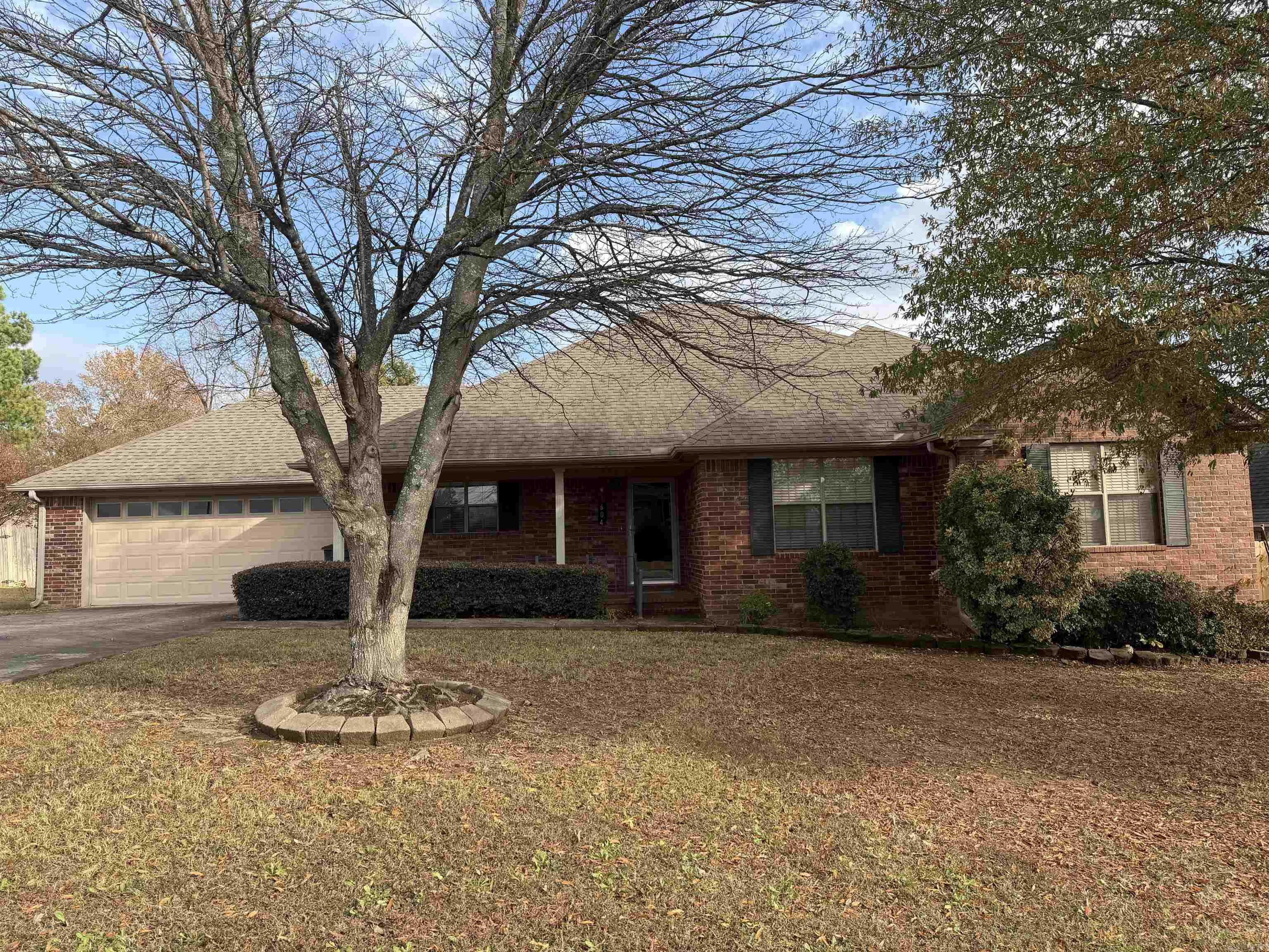 604 Llama  Searcy, AR