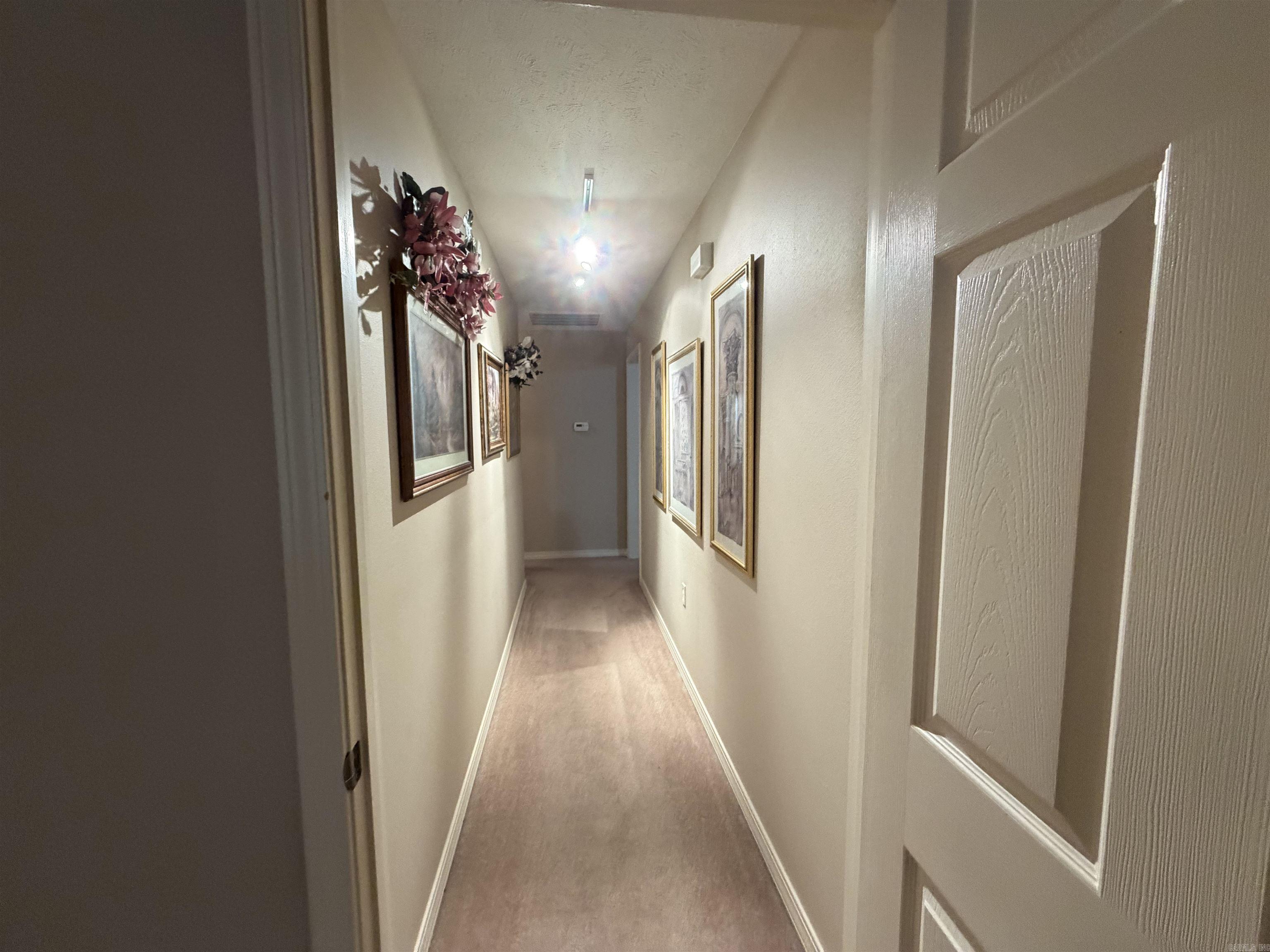 604 Llama  Searcy, AR