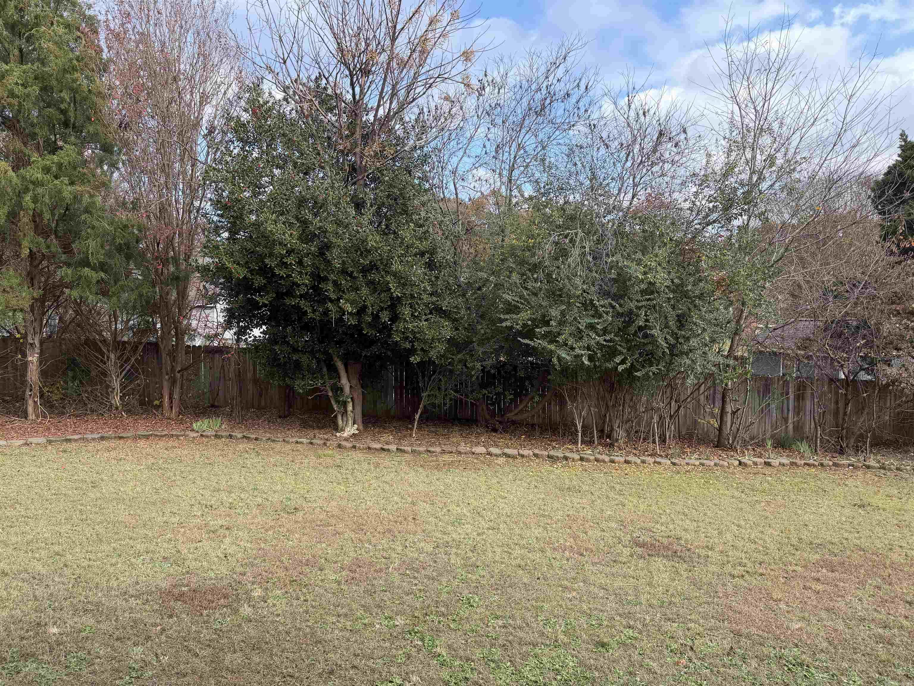 604 Llama  Searcy, AR