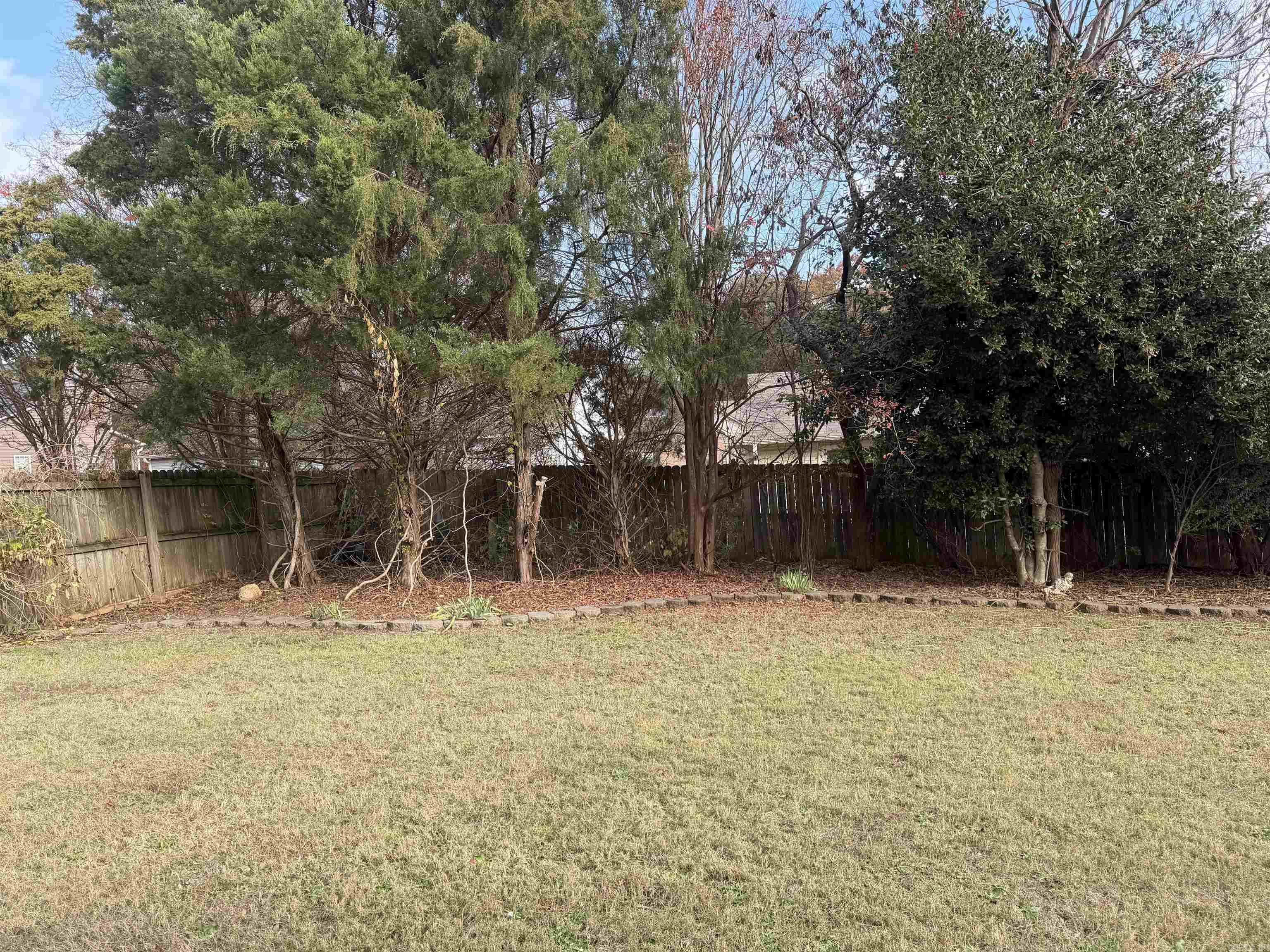 604 Llama  Searcy, AR