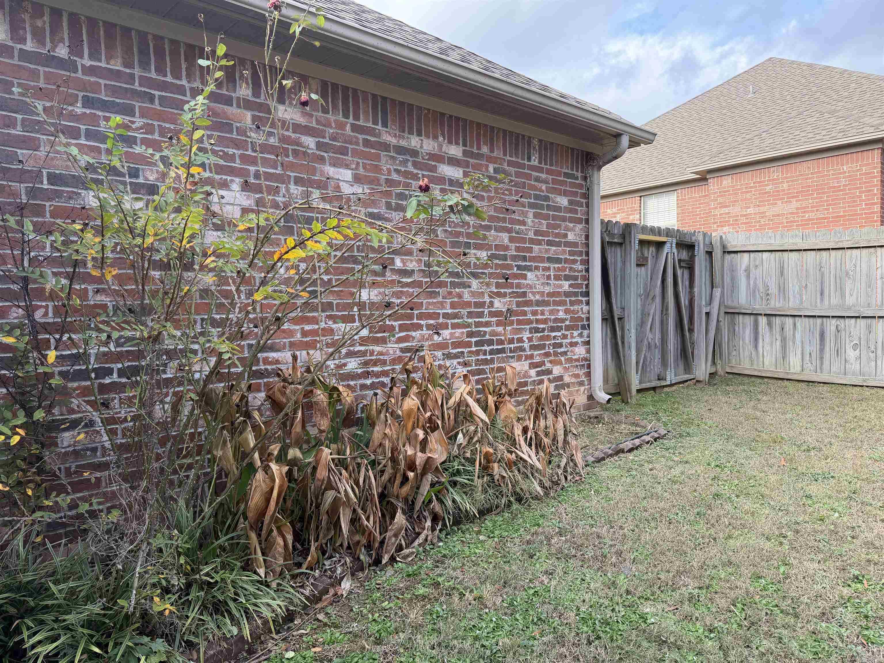 604 Llama  Searcy, AR