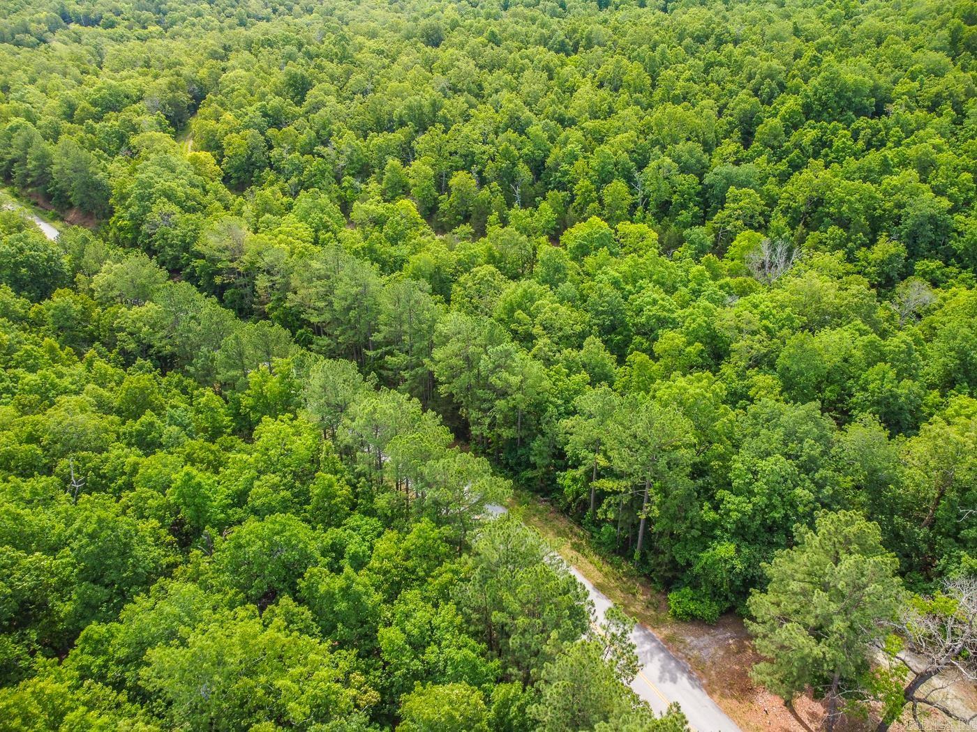 22 Lake Chanute Area Lots  Cherokee Village, AR