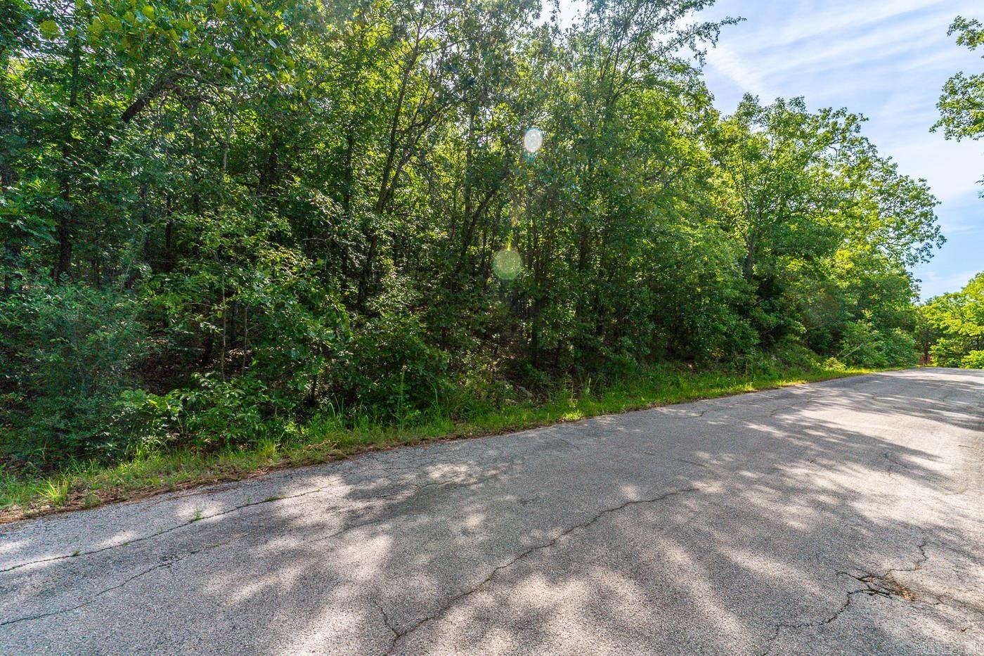 22 Lake Chanute Area Lots  Cherokee Village, AR