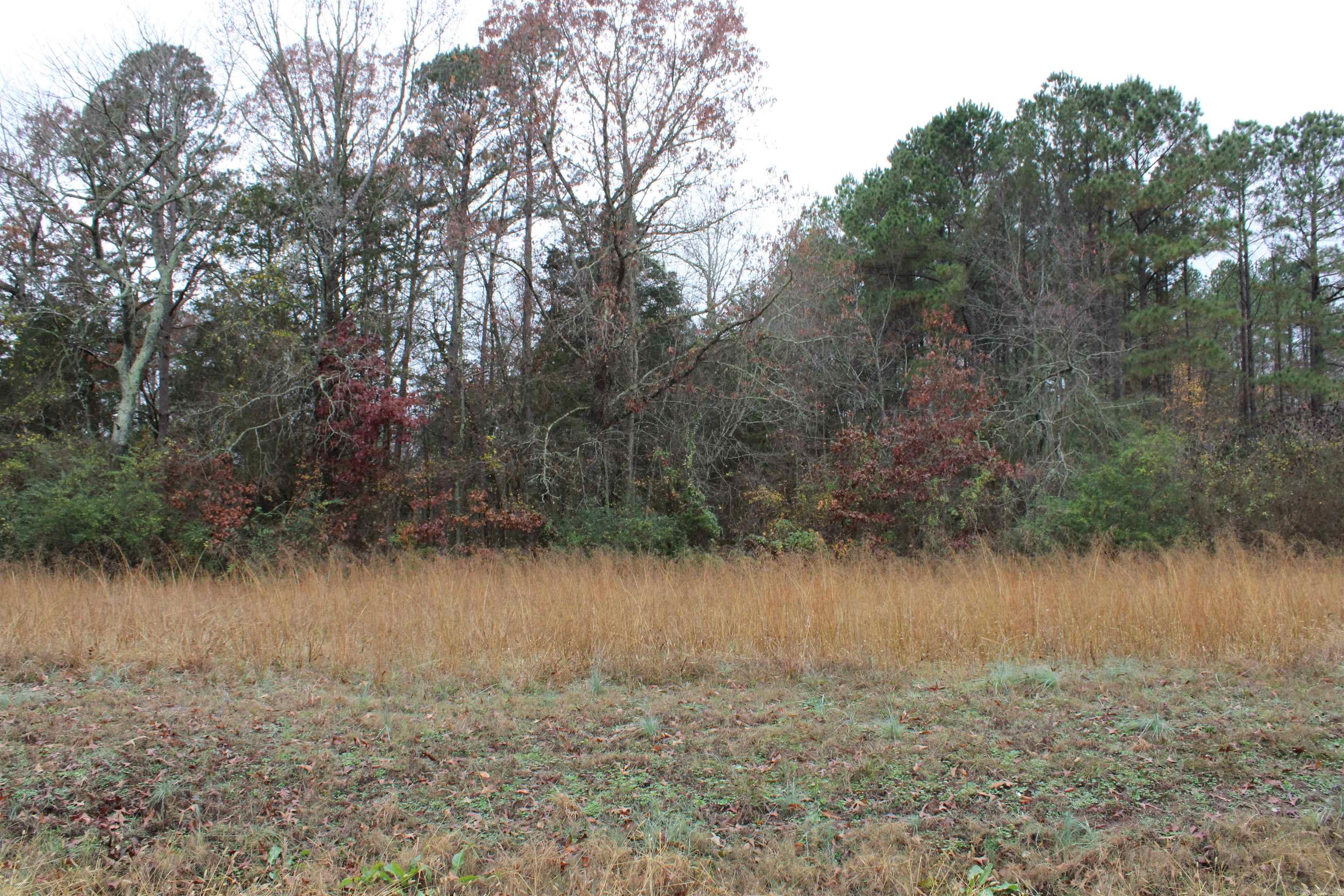 1790 S Miller Point  Quitman, AR