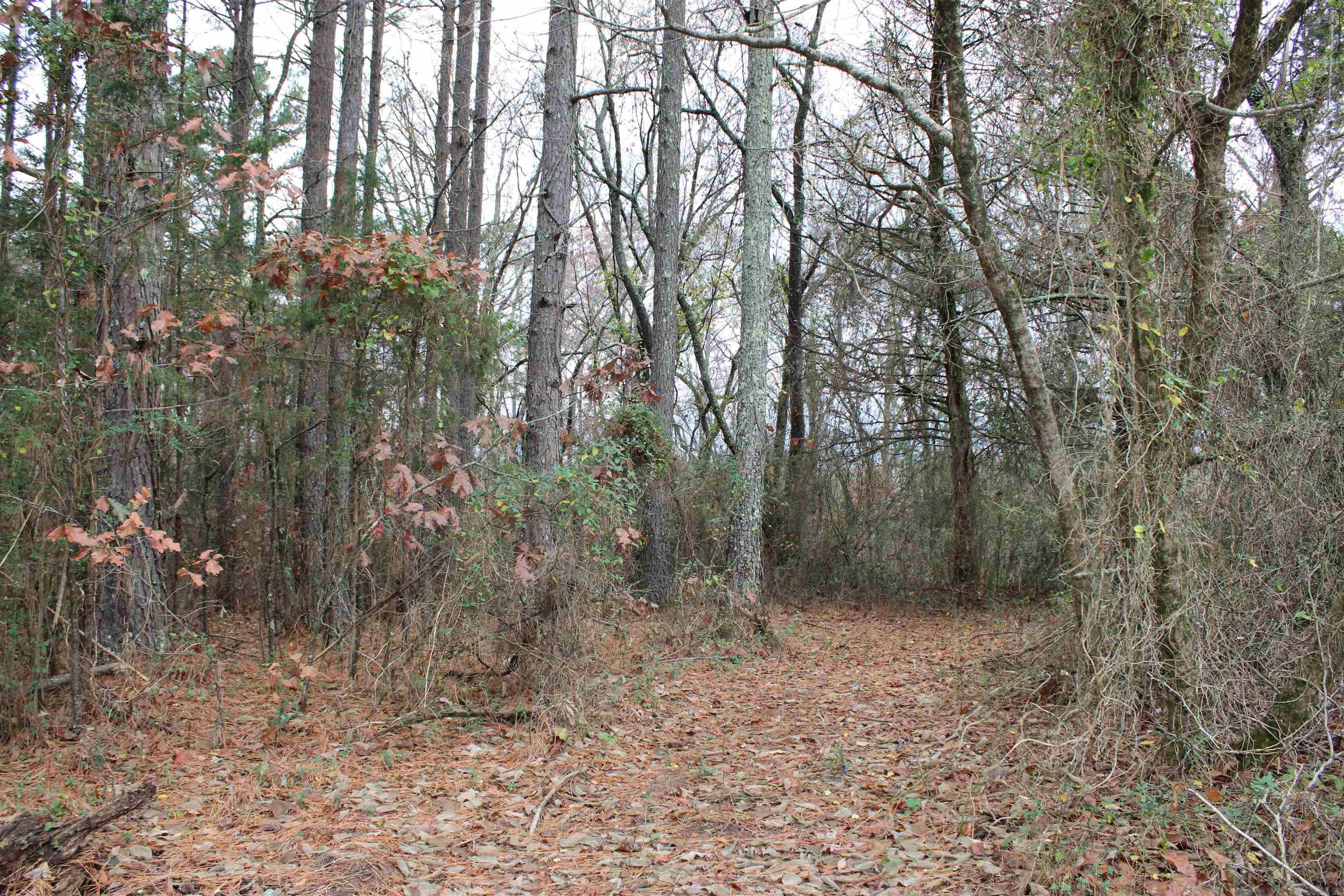 1790 S Miller Point  Quitman, AR