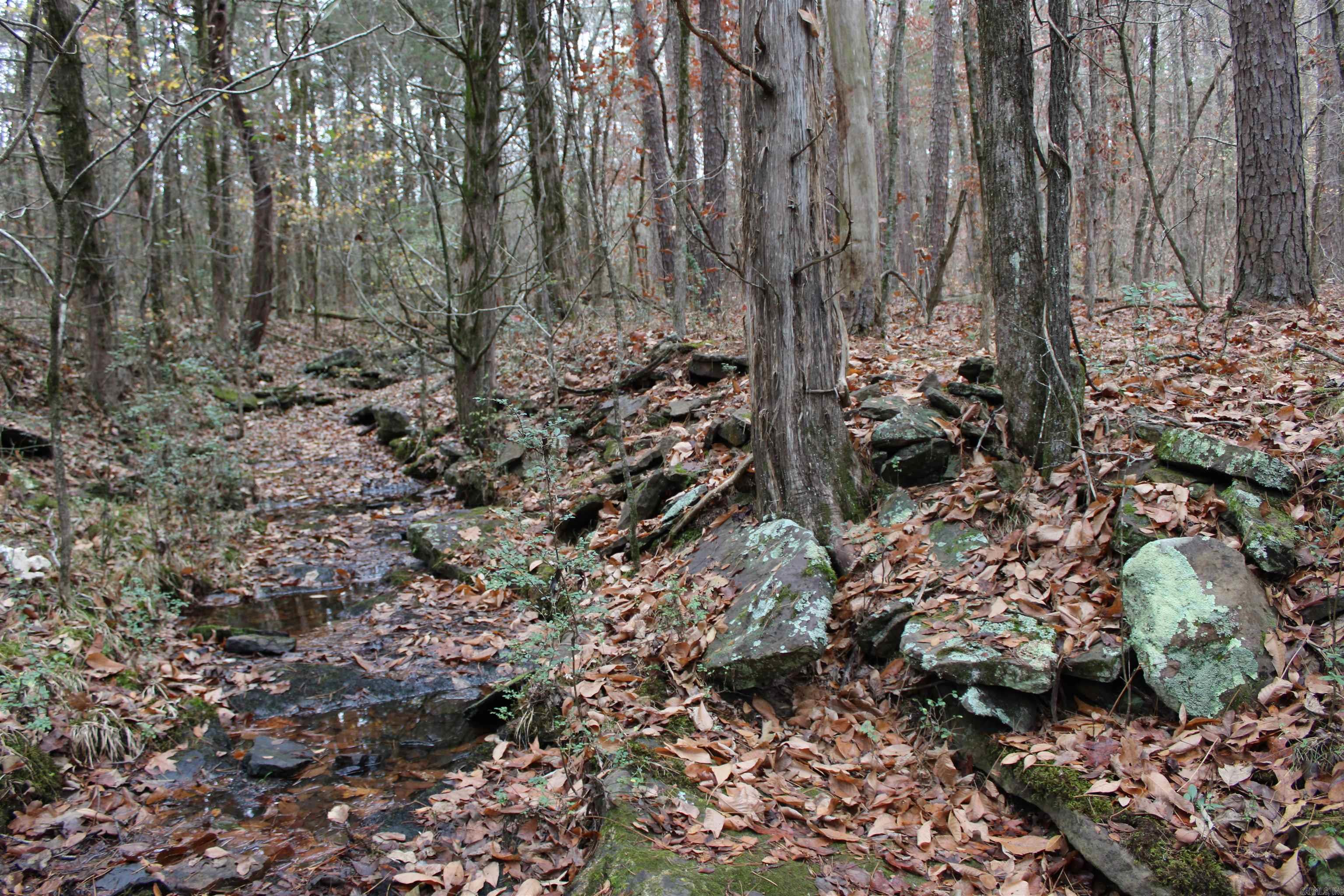 1790 S Miller Point  Quitman, AR