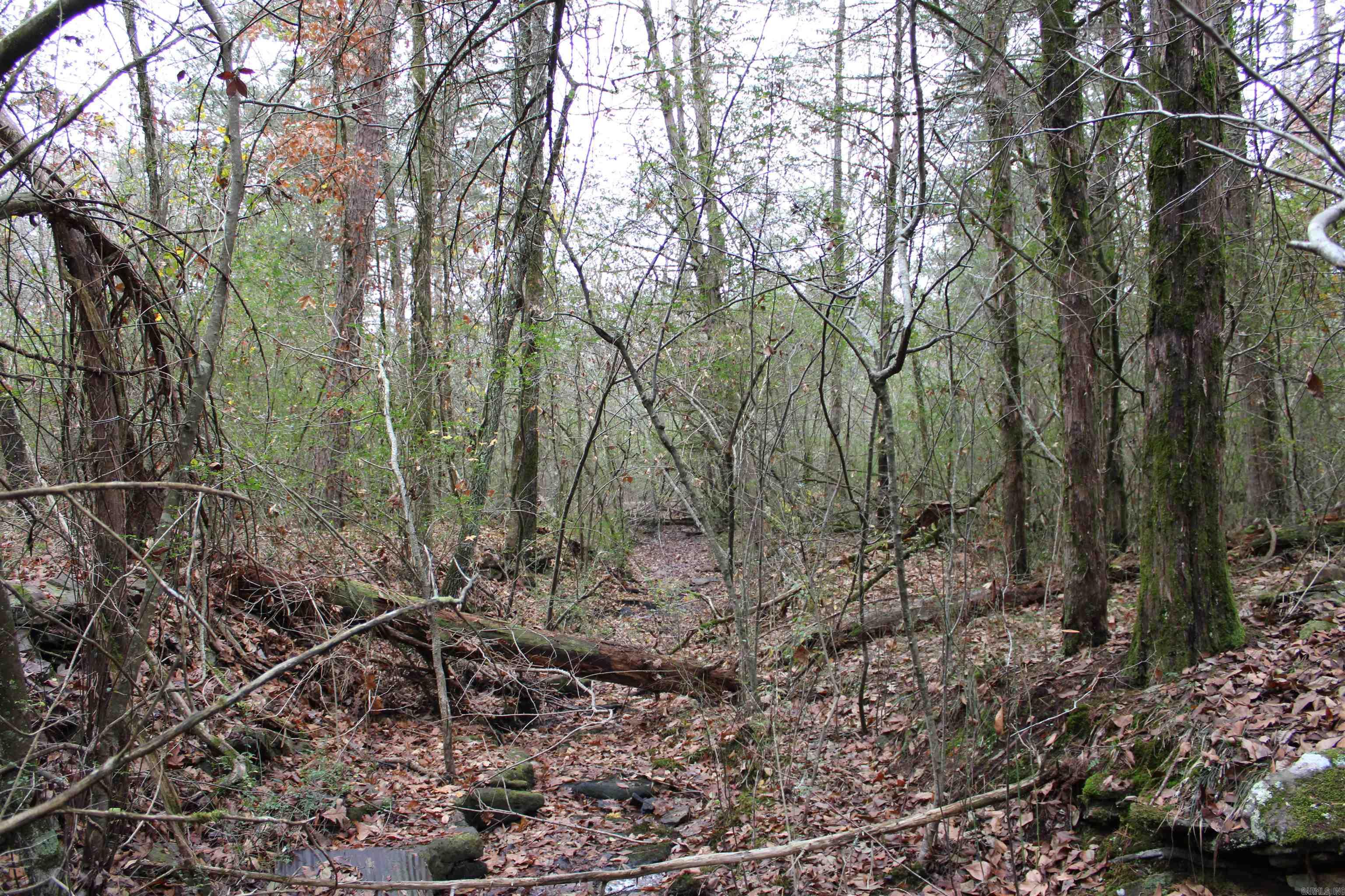 1790 S Miller Point  Quitman, AR