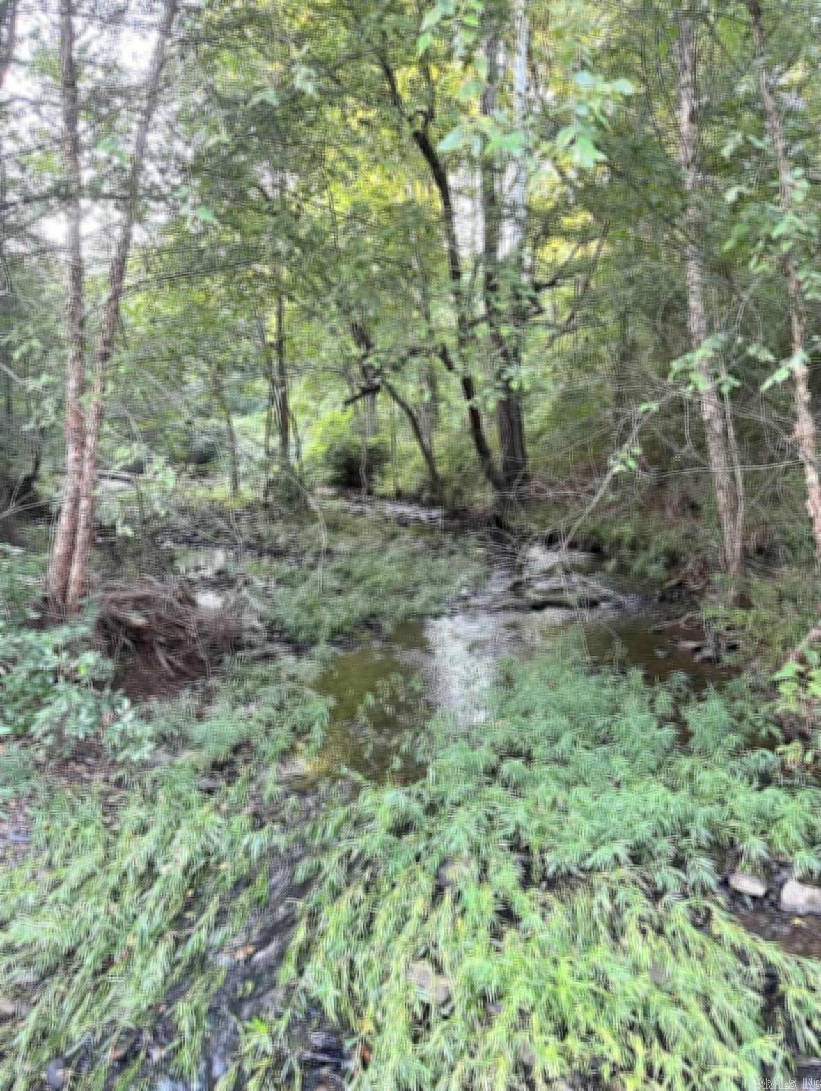 1790 S Miller Point  Quitman, AR