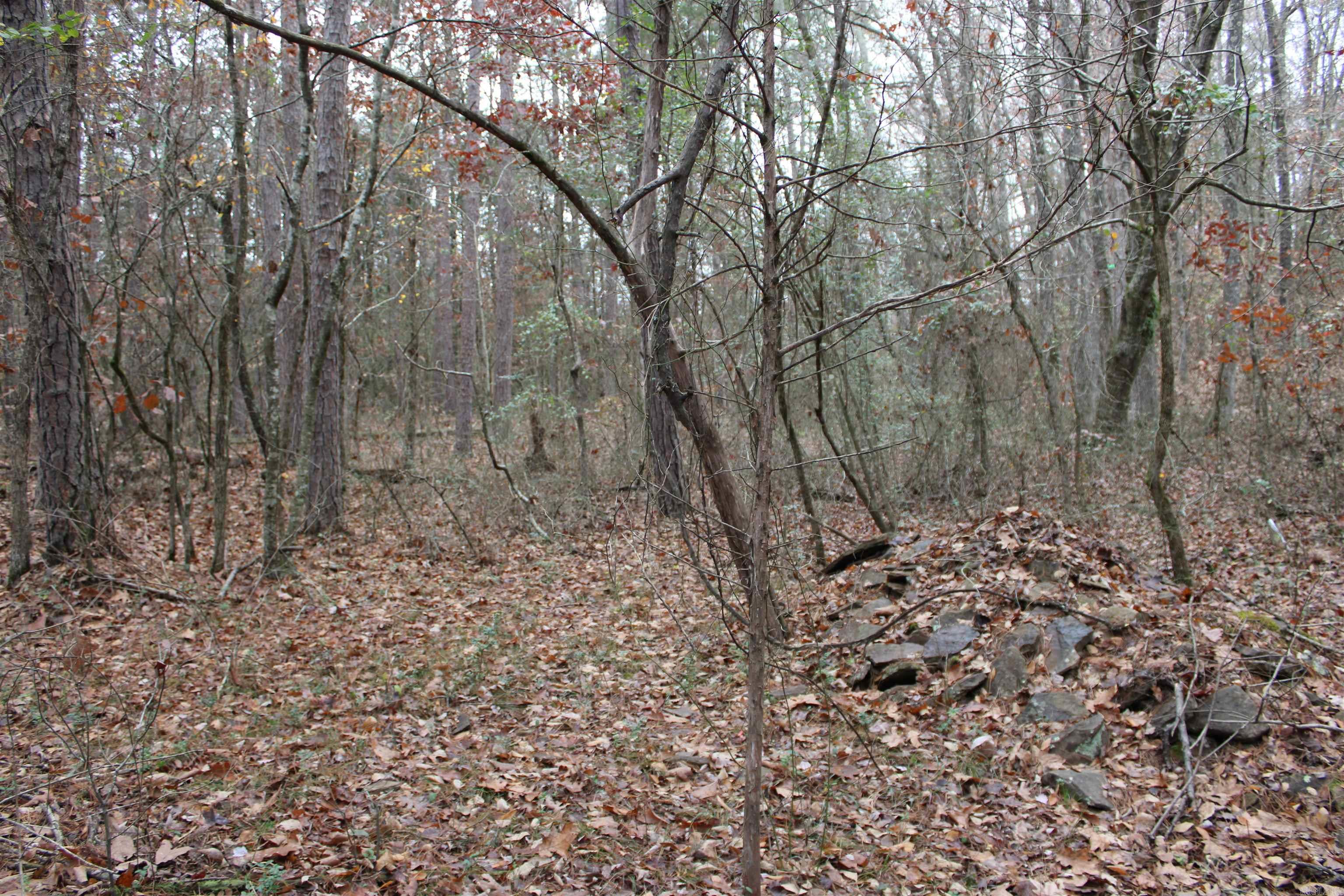 1790 S Miller Point  Quitman, AR