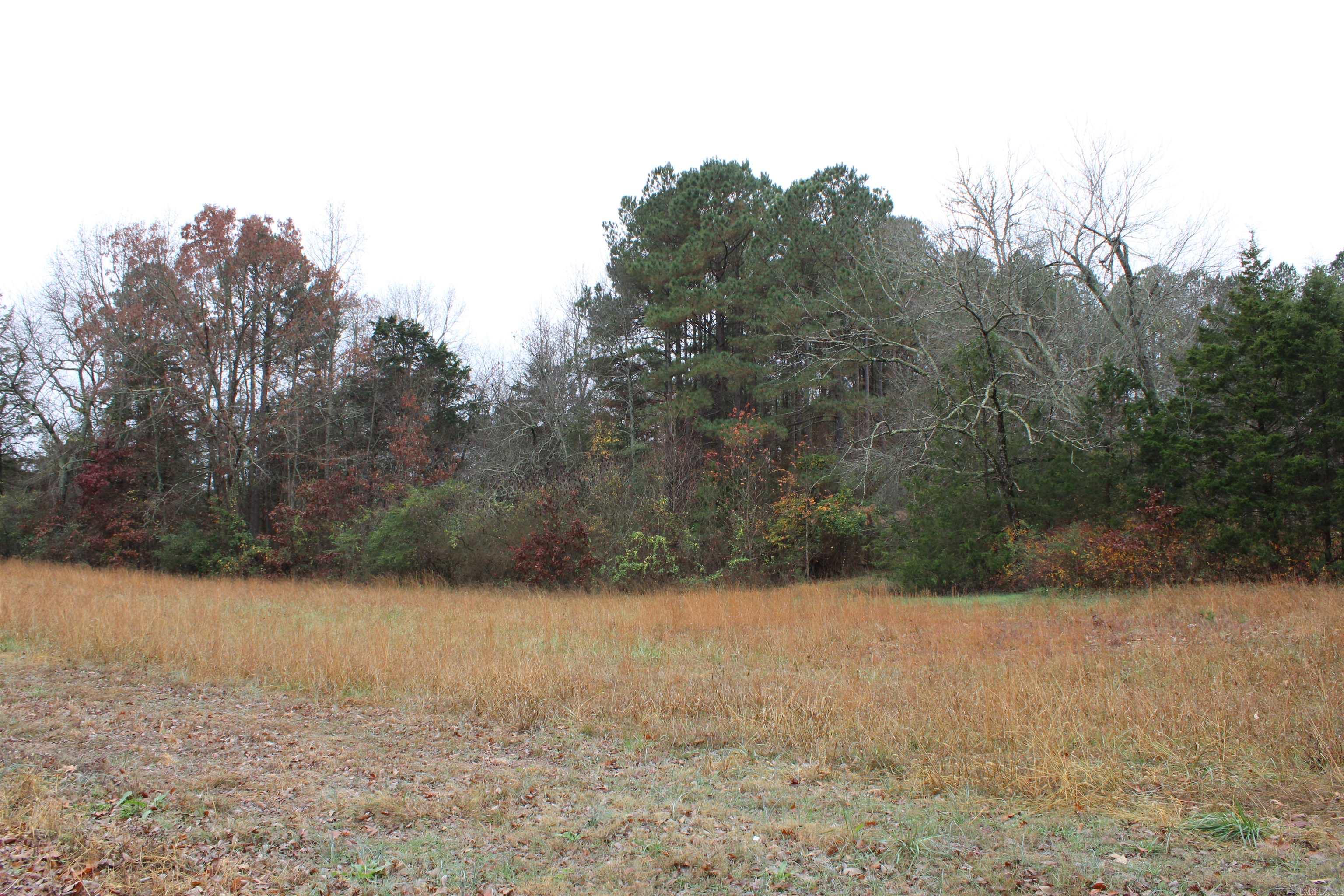 1790 S Miller Point  Quitman, AR