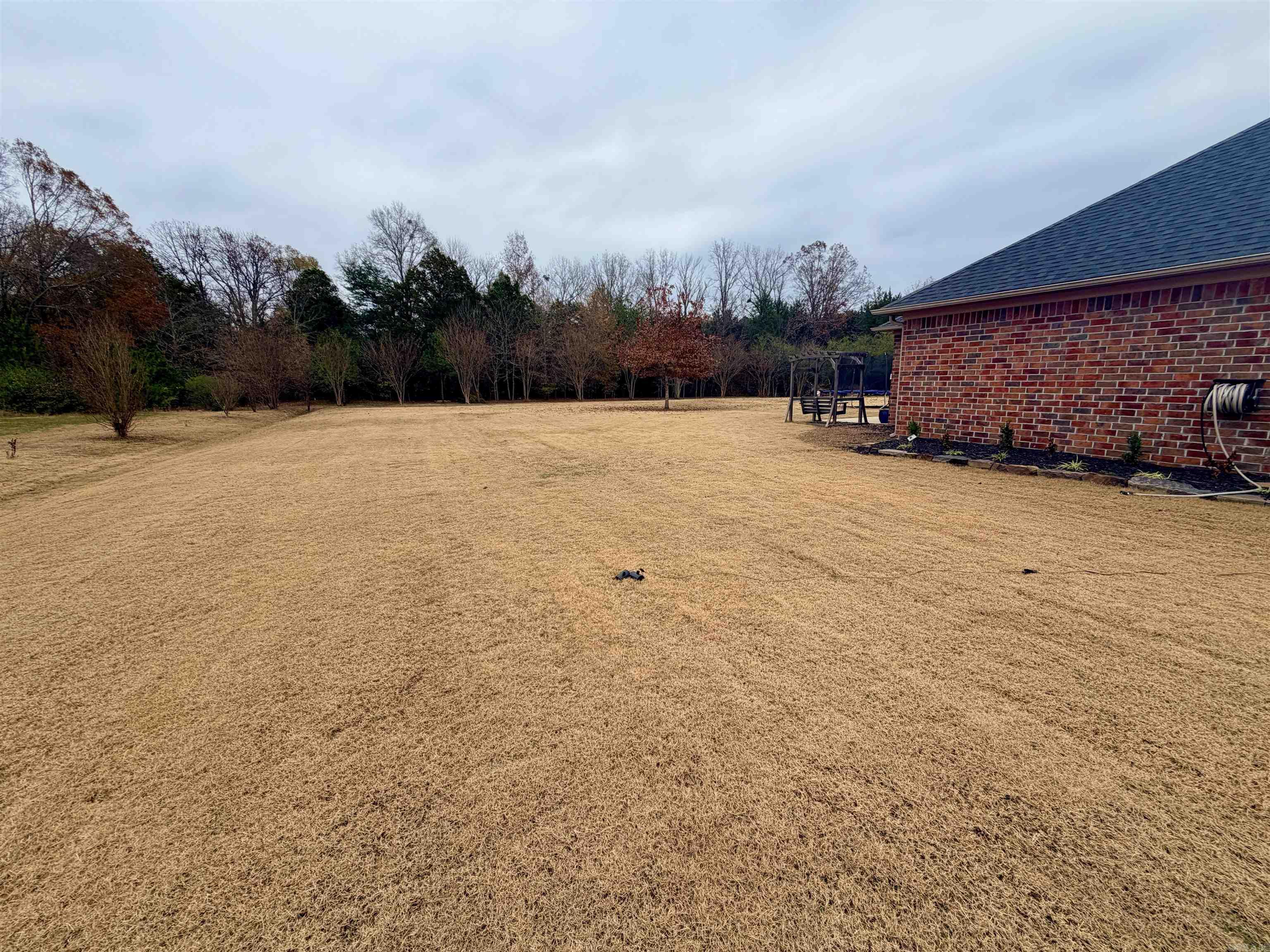 25 Colt  Greenbrier, AR