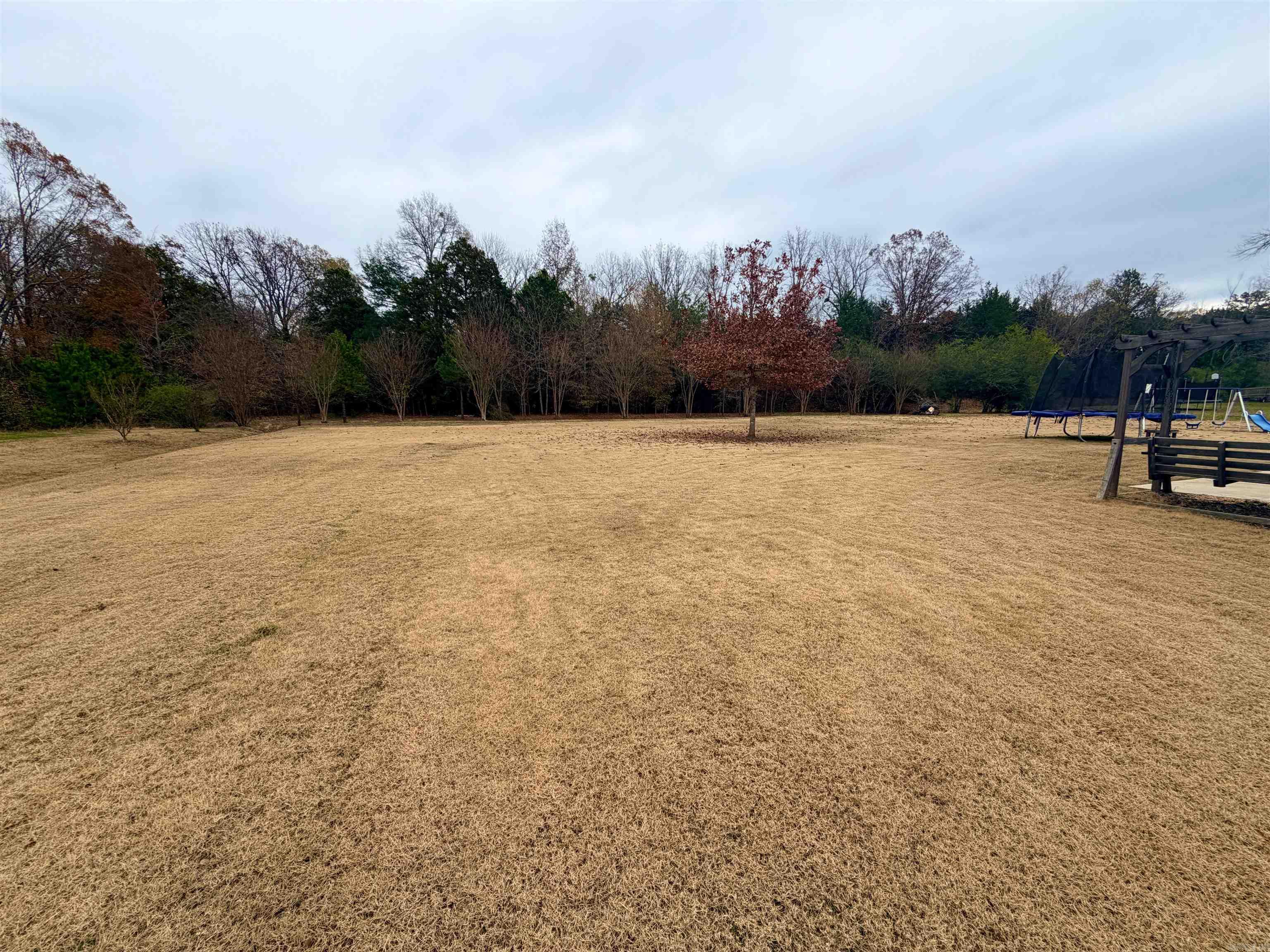 25 Colt  Greenbrier, AR