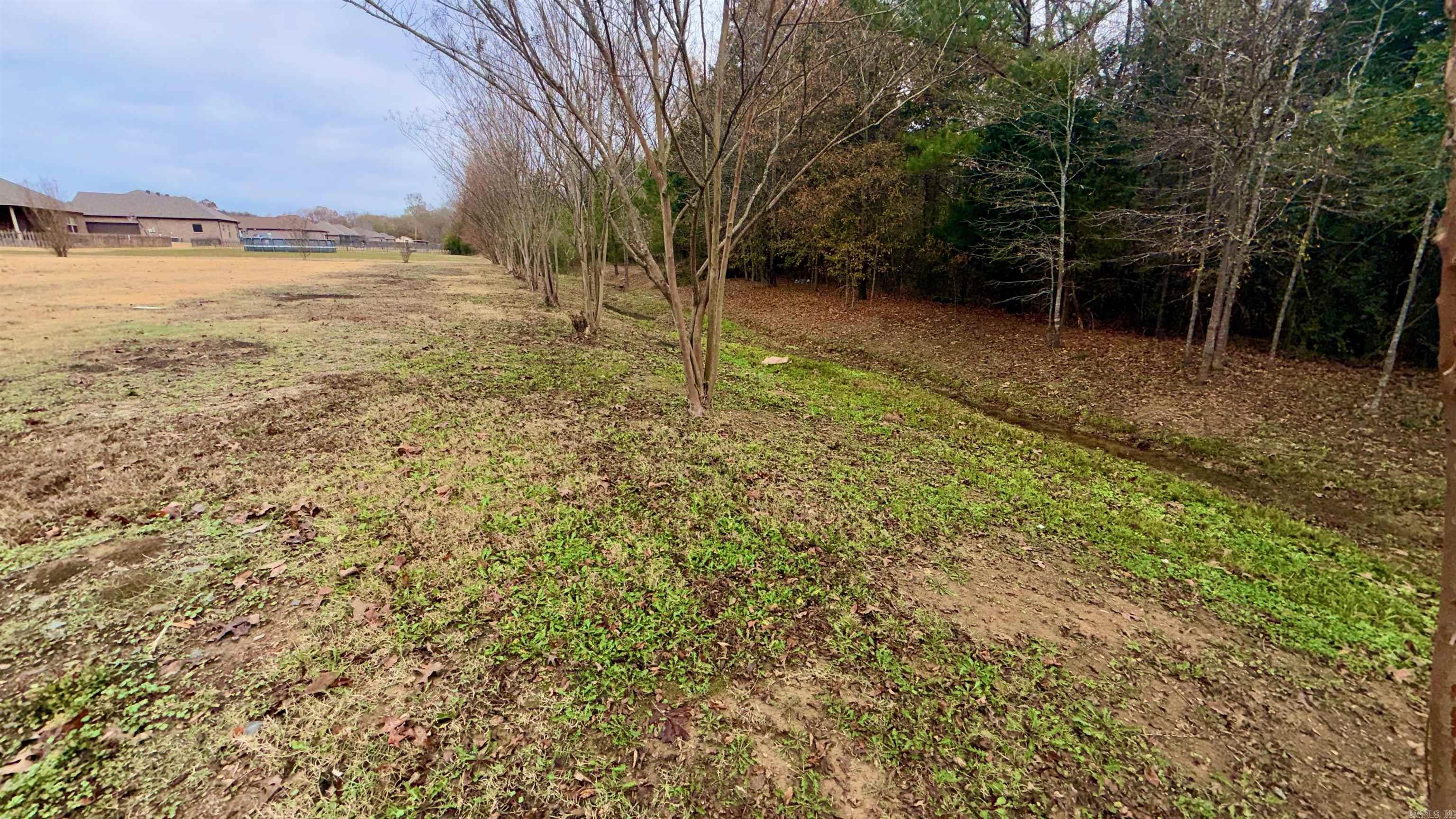 25 Colt  Greenbrier, AR