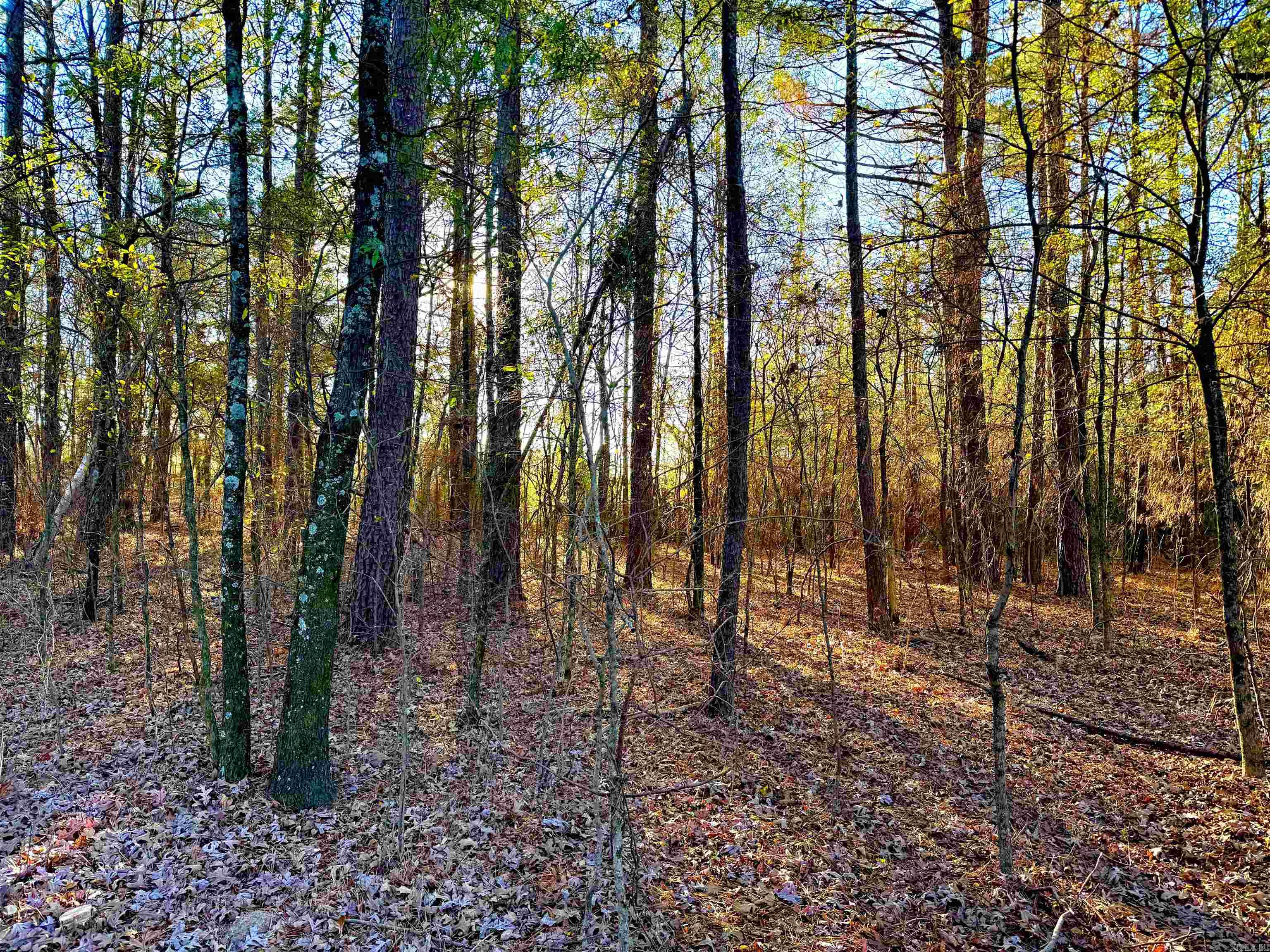 XXX ROCK CREEK  Glenwood, AR