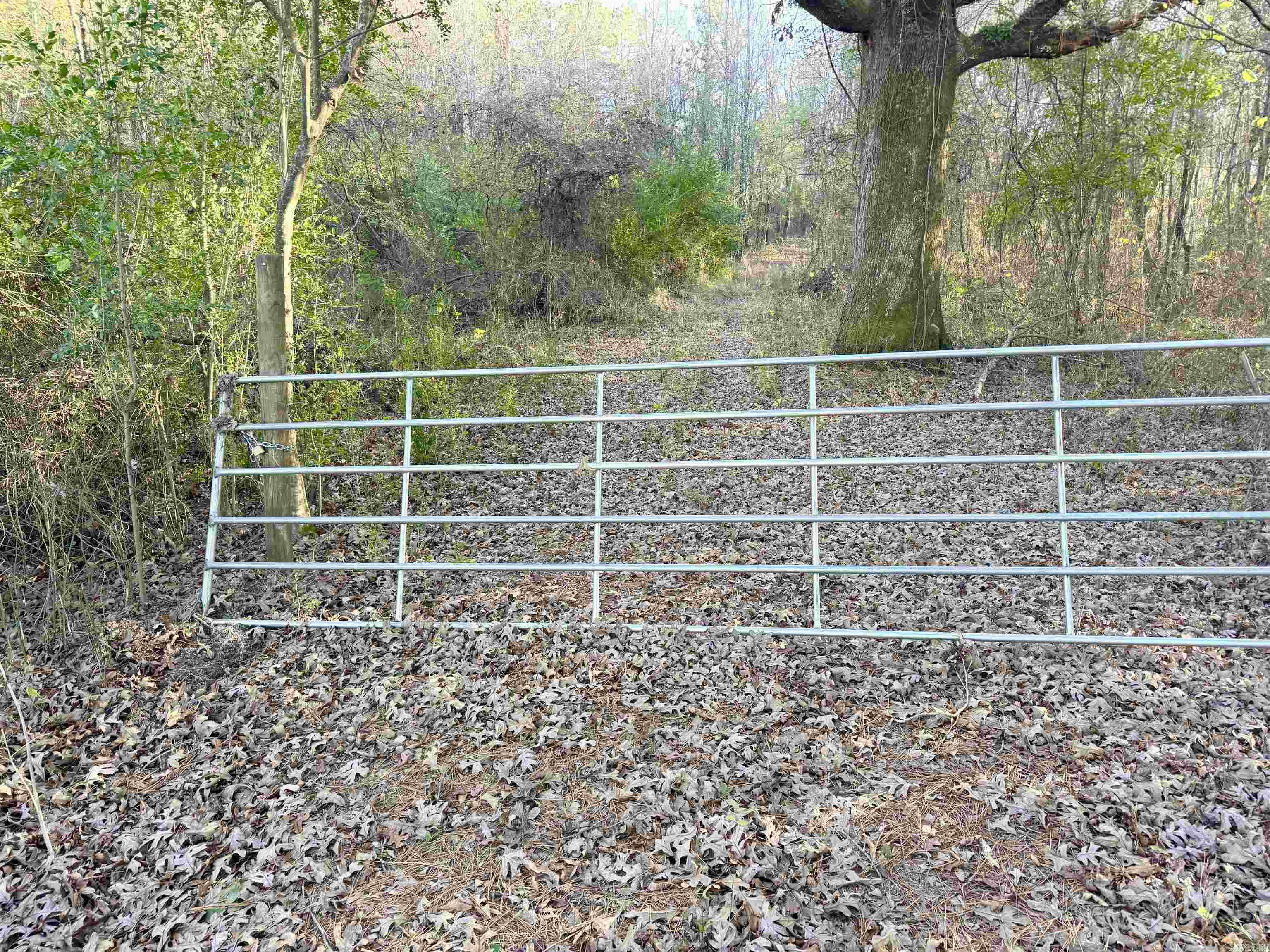 XXX ROCK CREEK  Glenwood, AR