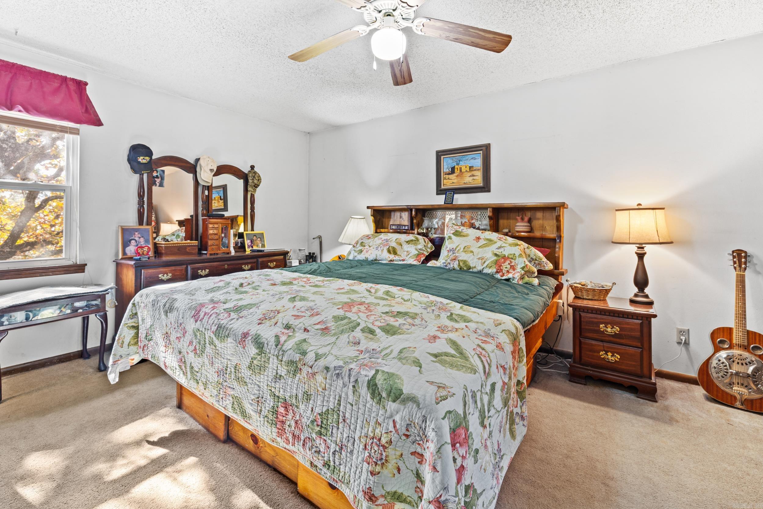 10619 Panther Mountain  North Little Rock, AR