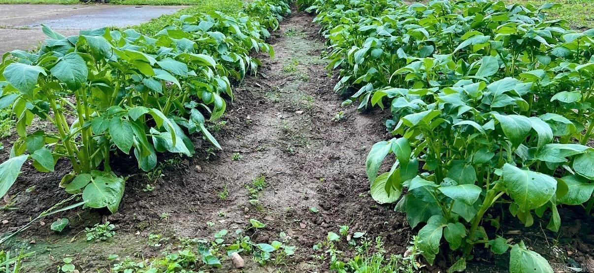 1165 Old Camp  Batesville, AR