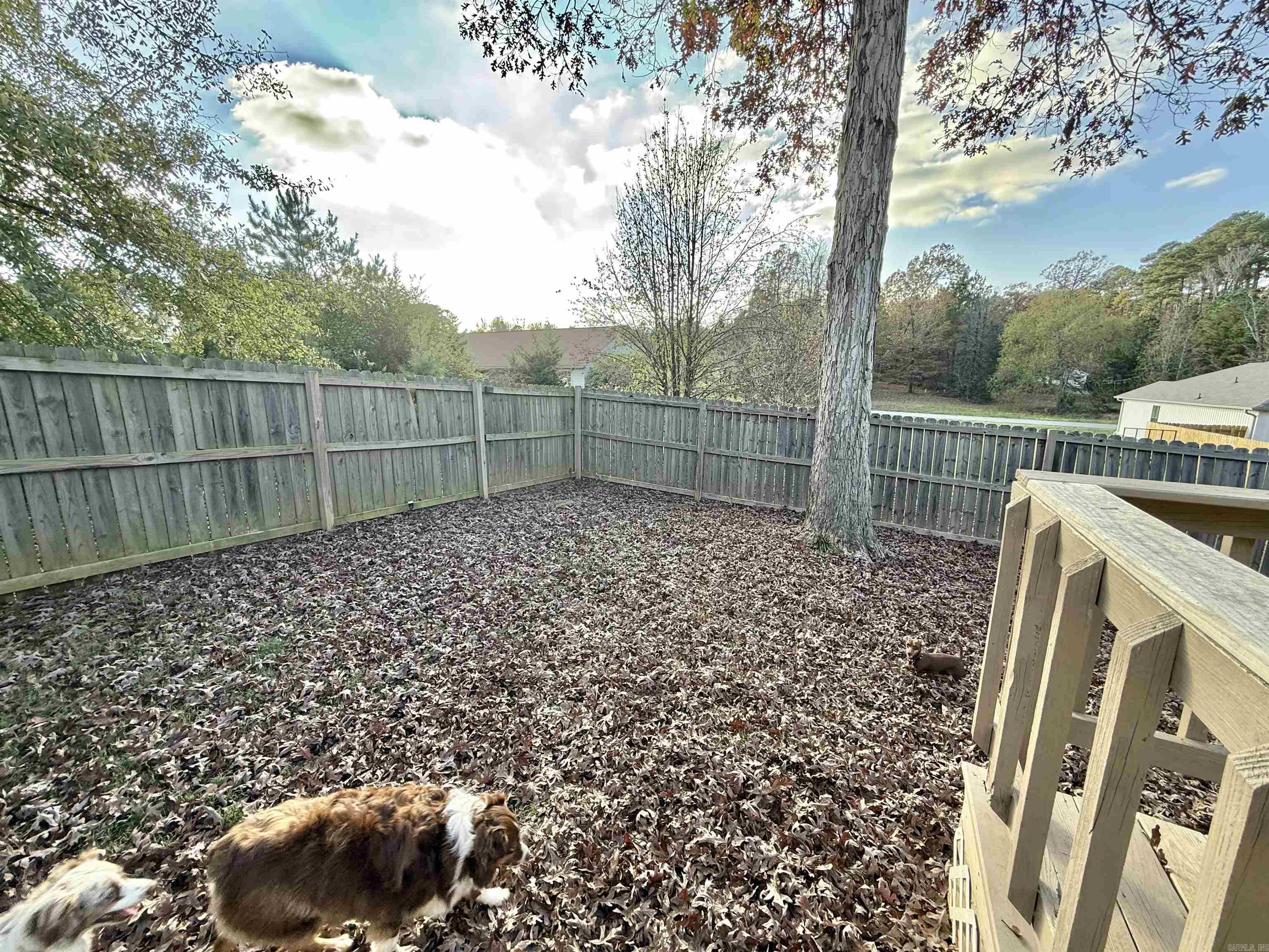 64 Horton HIlls  Sheridan, AR