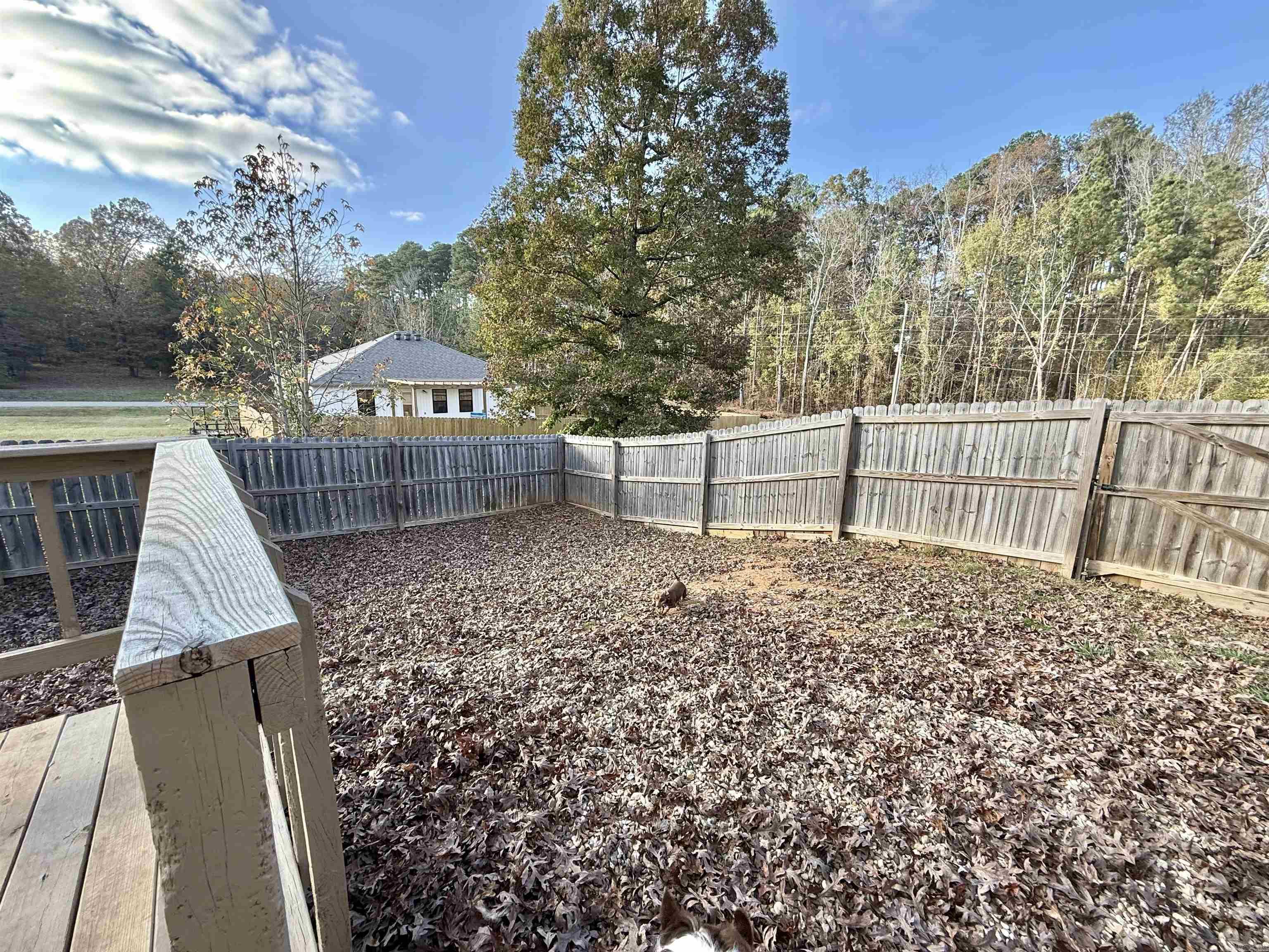 64 Horton HIlls  Sheridan, AR