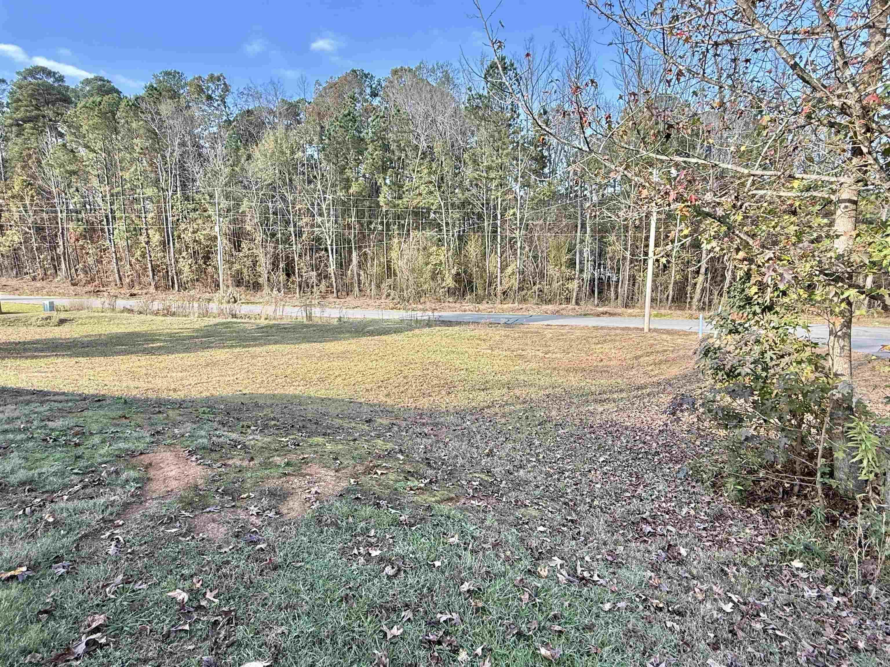 64 Horton HIlls  Sheridan, AR