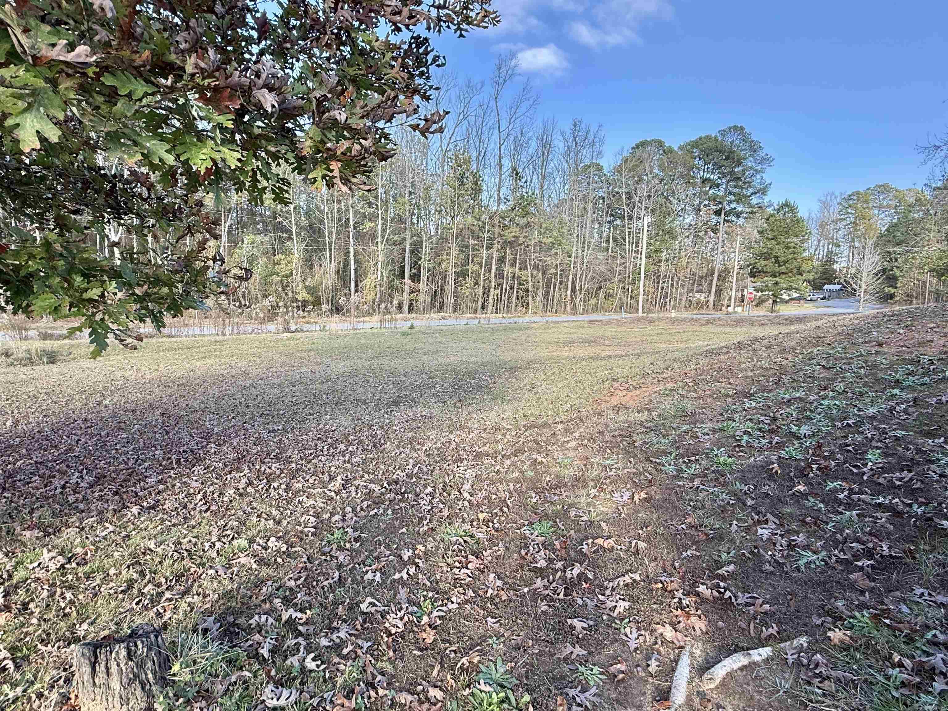 64 Horton HIlls  Sheridan, AR