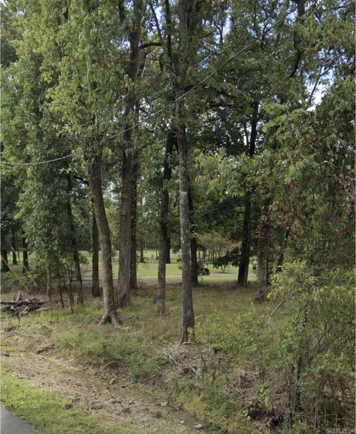  Pebble Beach Dr  Diamondhead, AR