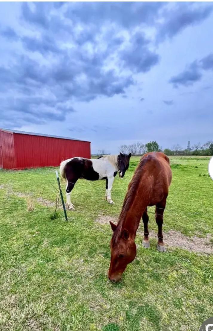 77 Artie Robinson Road  Gillett, AR