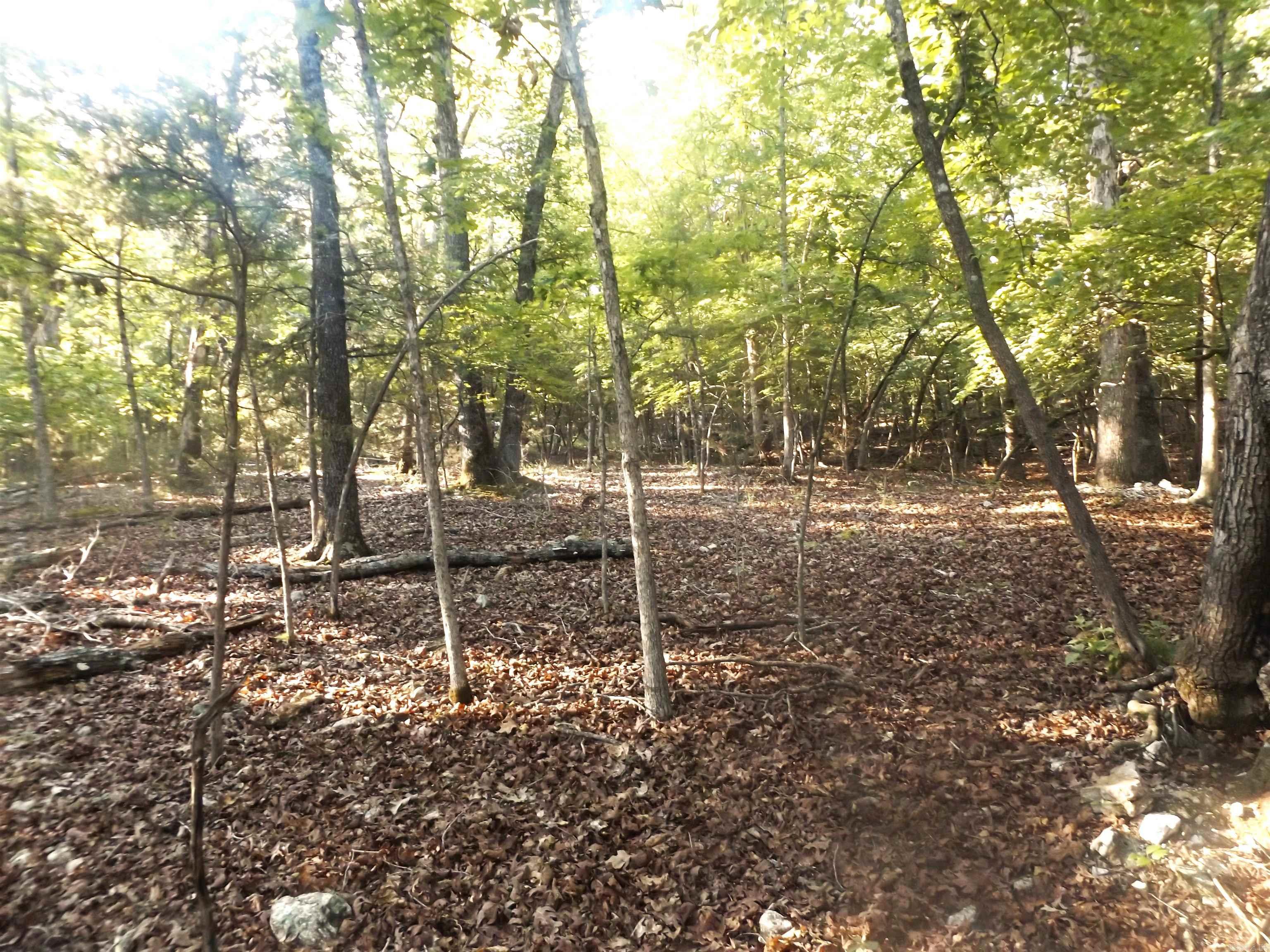 Lot 16 Antler  Henderson, AR
