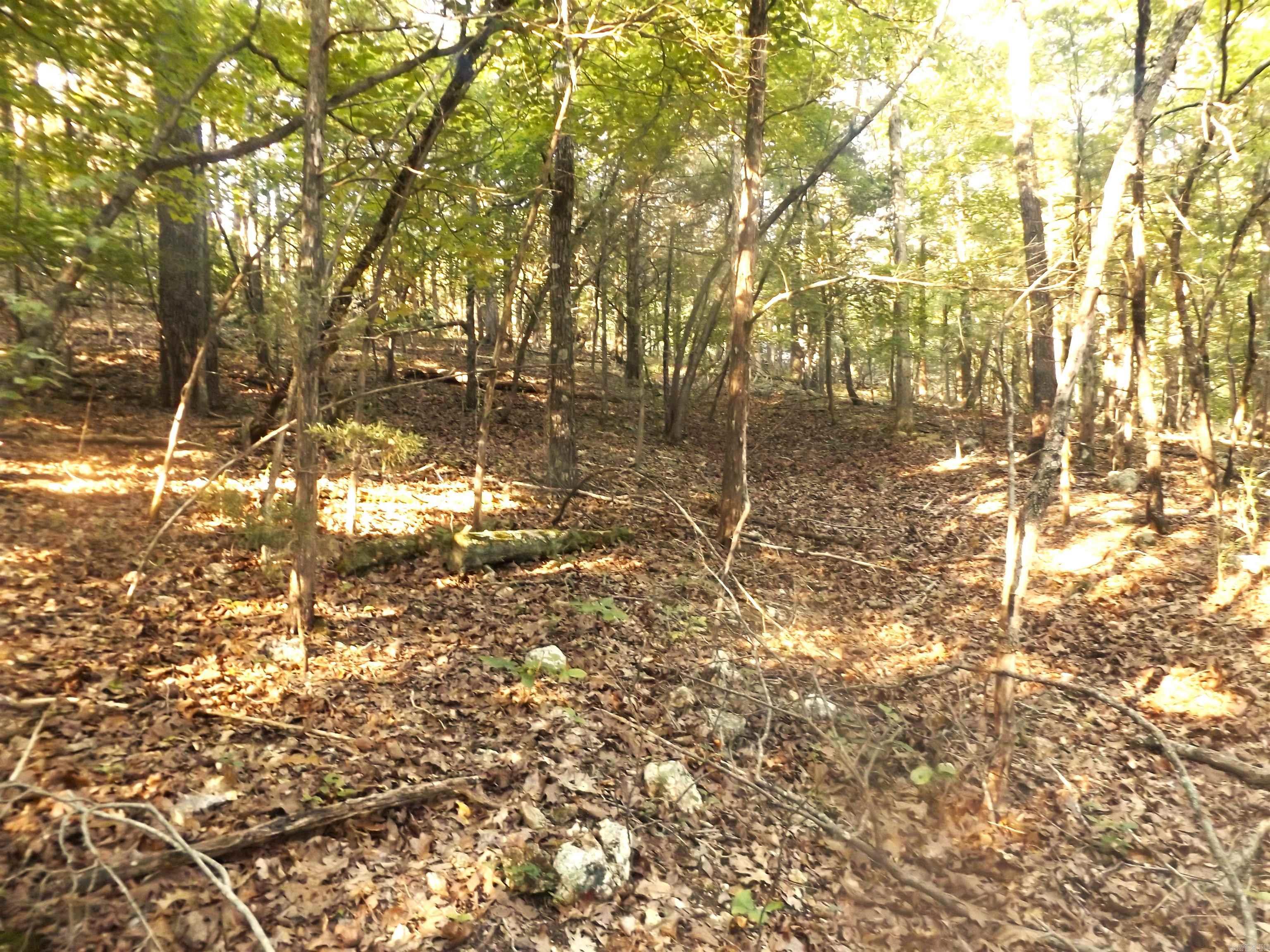 Lot 16 Antler  Henderson, AR