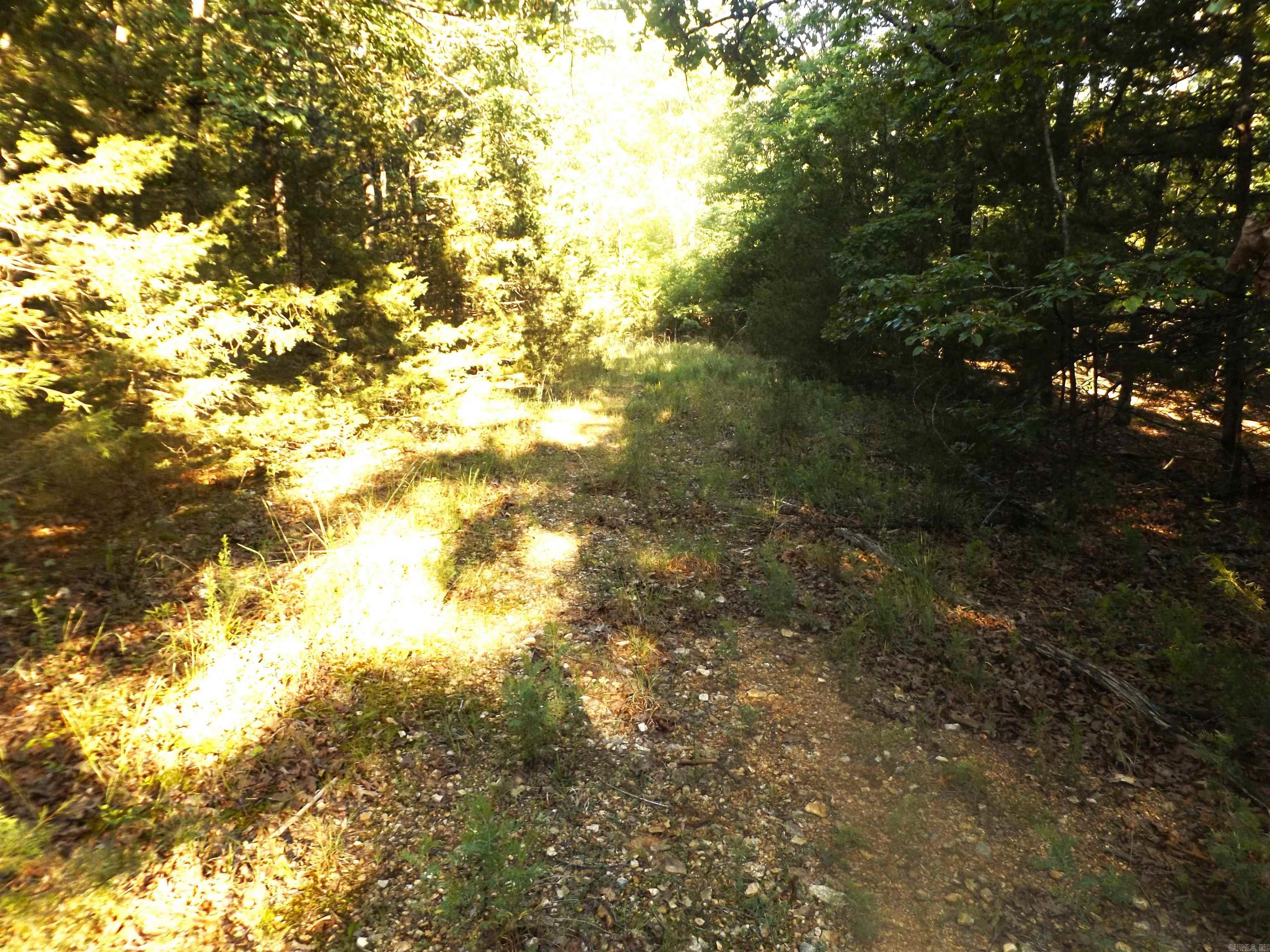 Lot 16 Antler  Henderson, AR