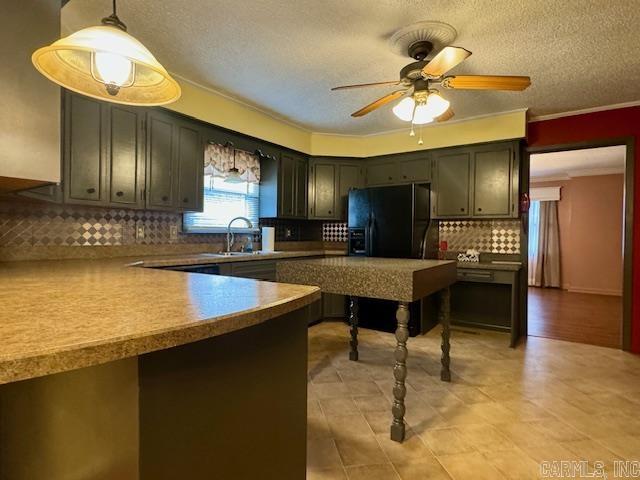 1605 Martin  Pocahontas, AR